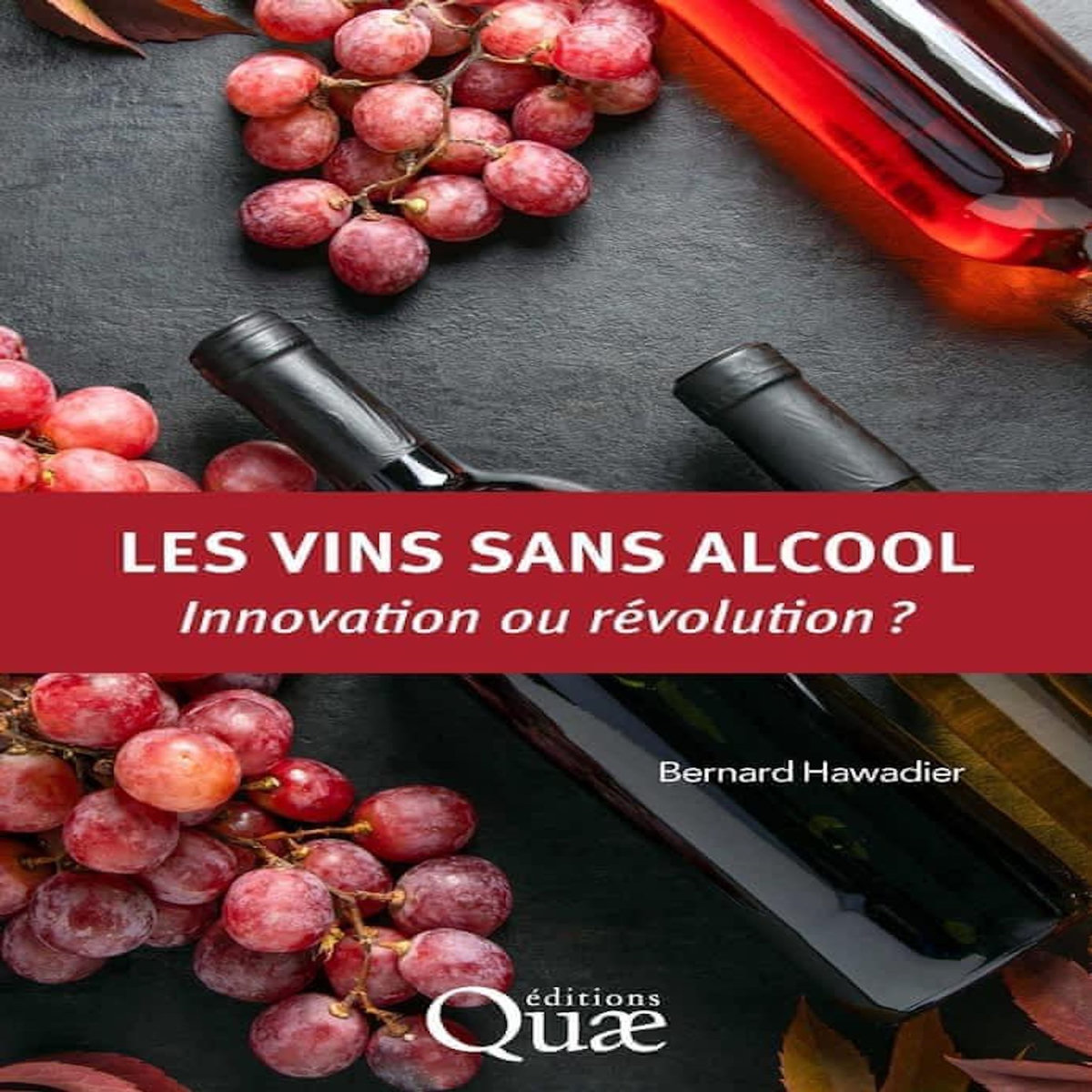 LES VINS SANS ALCOOL. INNOVATION OU REVOLUTION ?, Hawadier Bernard