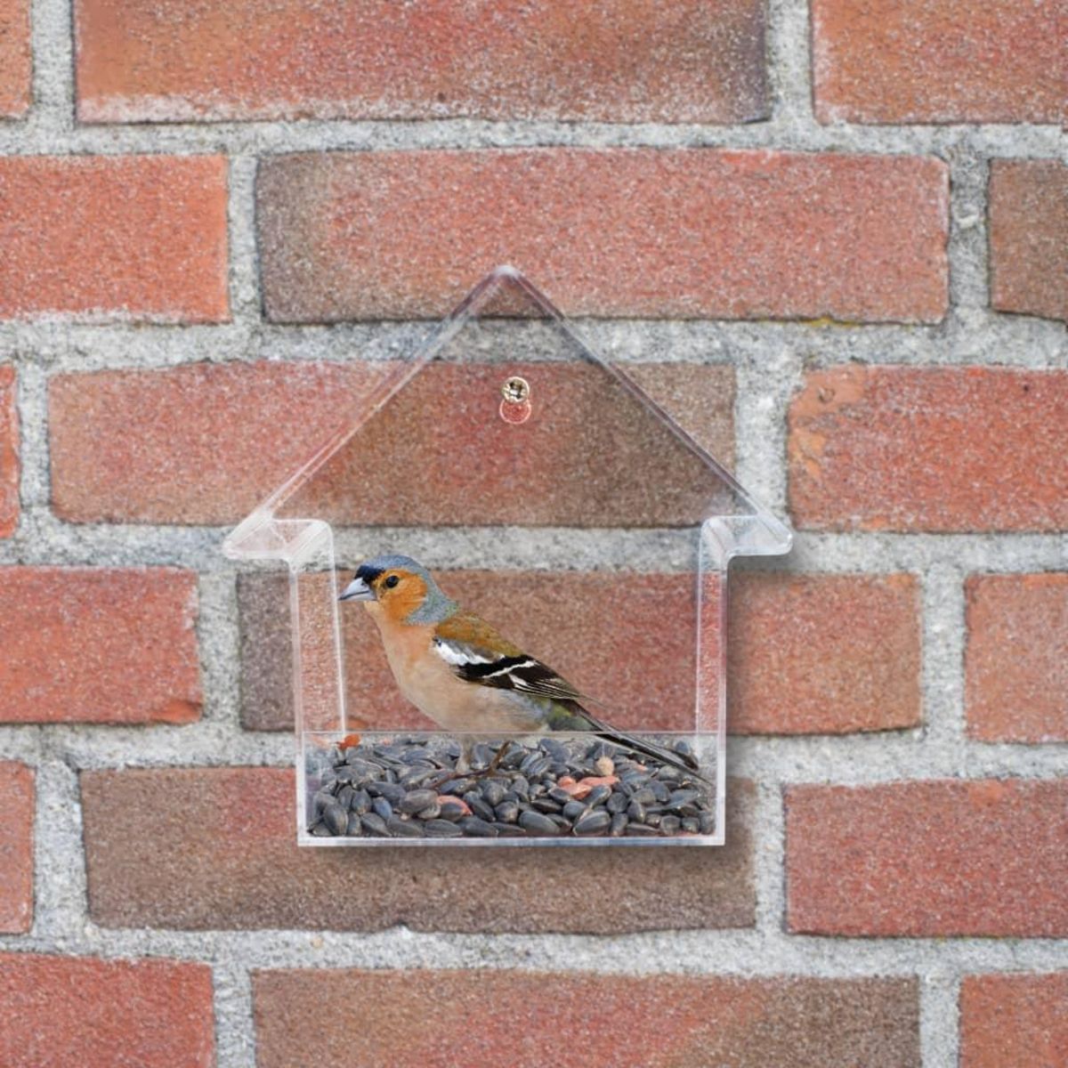 ESSCHERT DESIGN Esschert Design Mangeoire de fenetre Acrylique 15x10x15,3 cm FB370