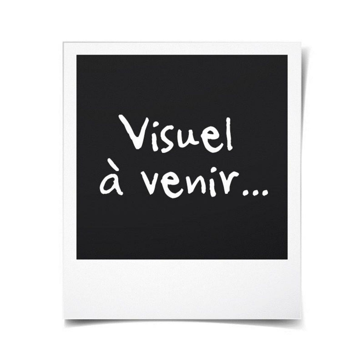 VISION VISION - Bicolore - Housse de couette Réversible 200x200cm avec 2 taies 65x65cm -Gris/gris perle - 100% coton