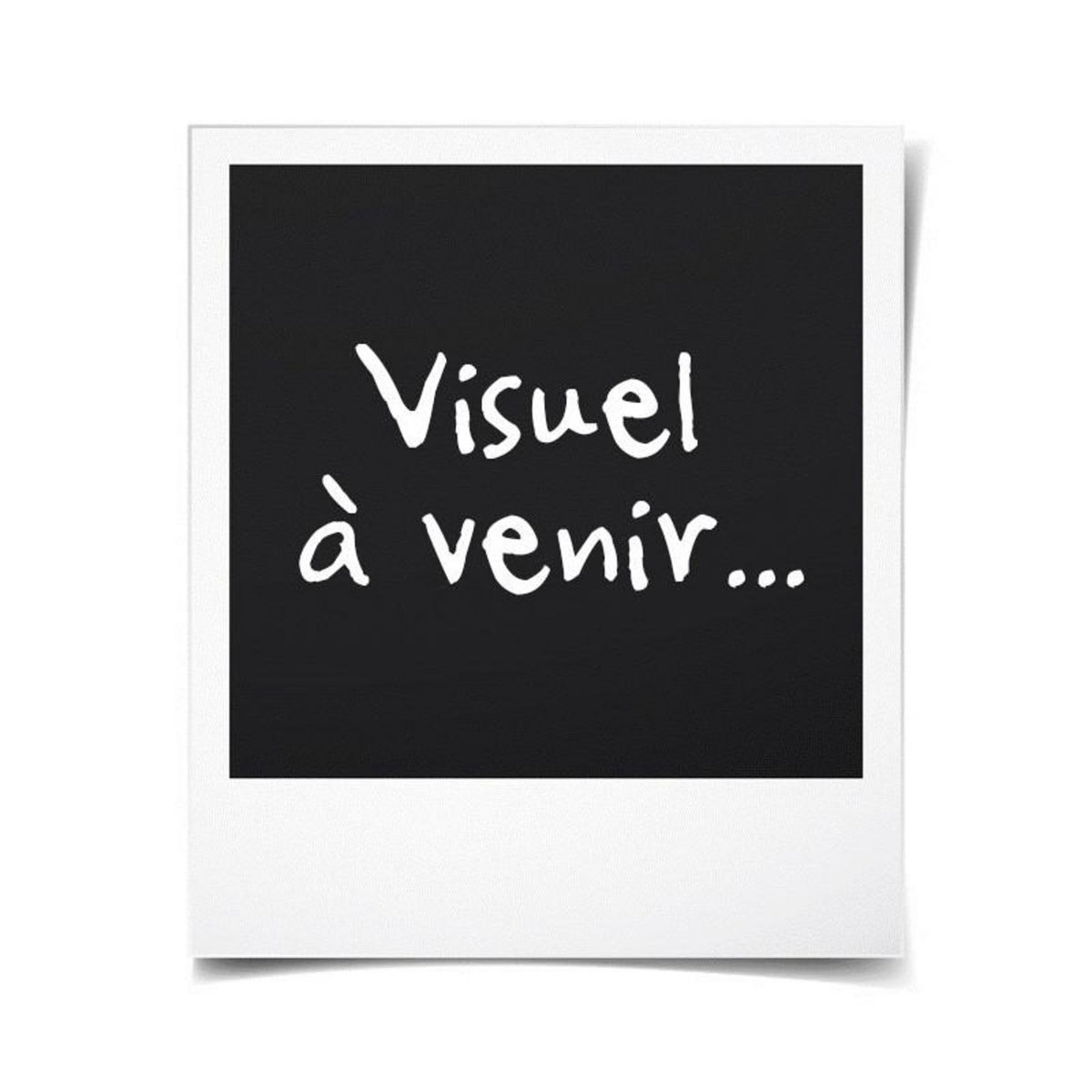 VISION VISION - Bicolore - Housse de couette Réversible 200x200cm avec 2 taies 65x65cm -Gris/gris perle - 100% coton