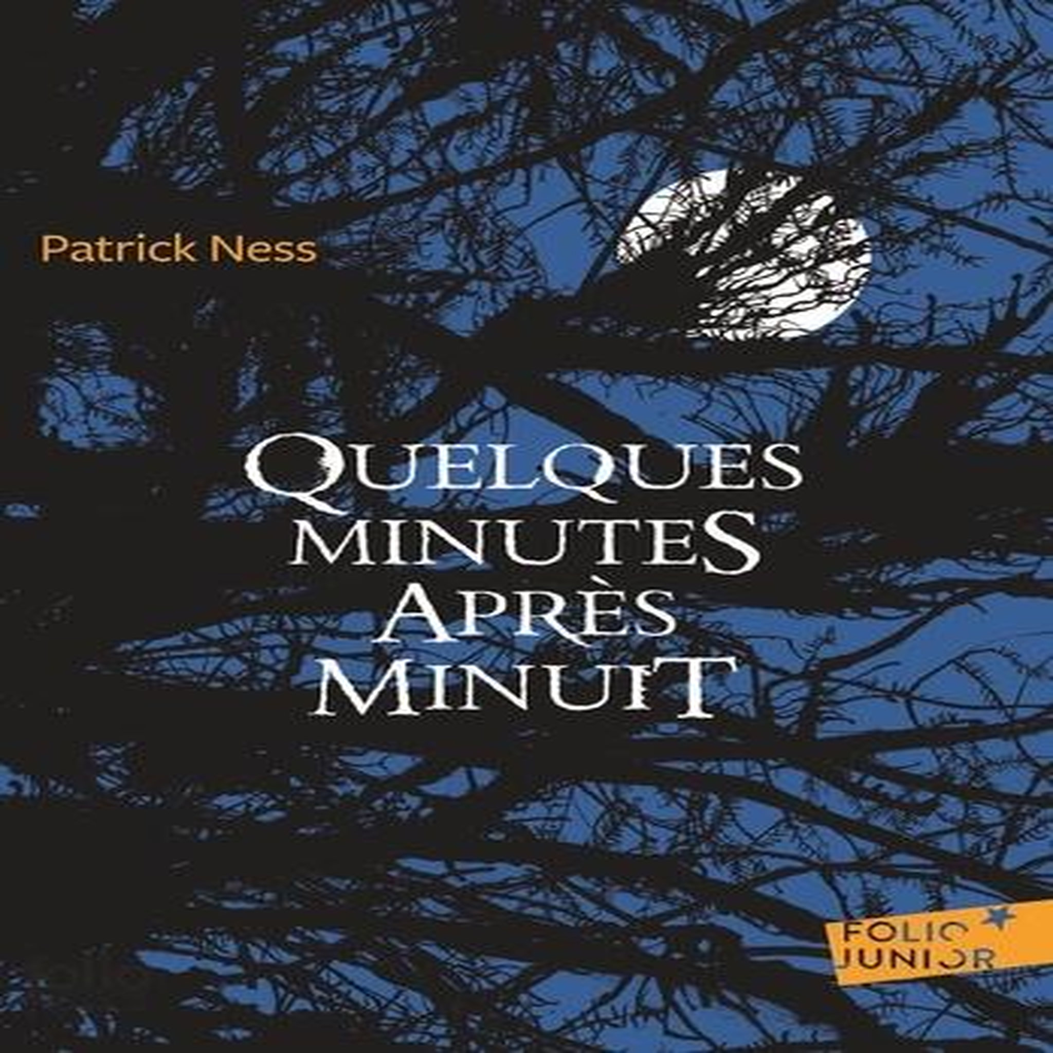QUELQUES MINUTES APRES MINUIT, Ness Patrick