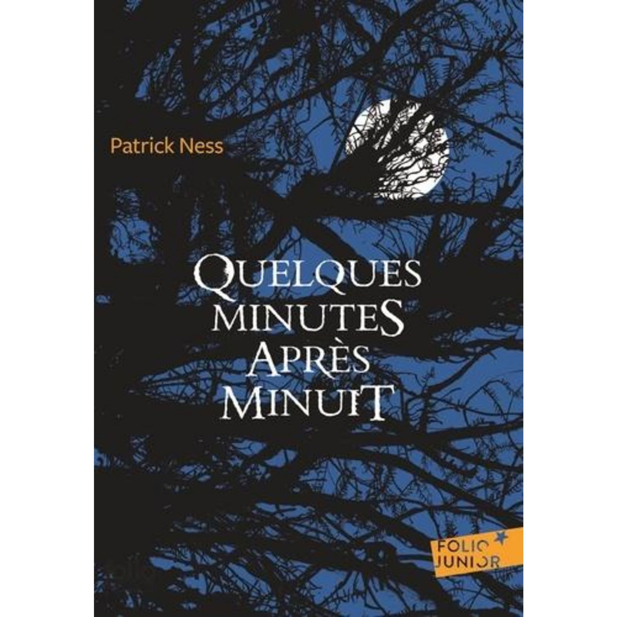 QUELQUES MINUTES APRES MINUIT, Ness Patrick