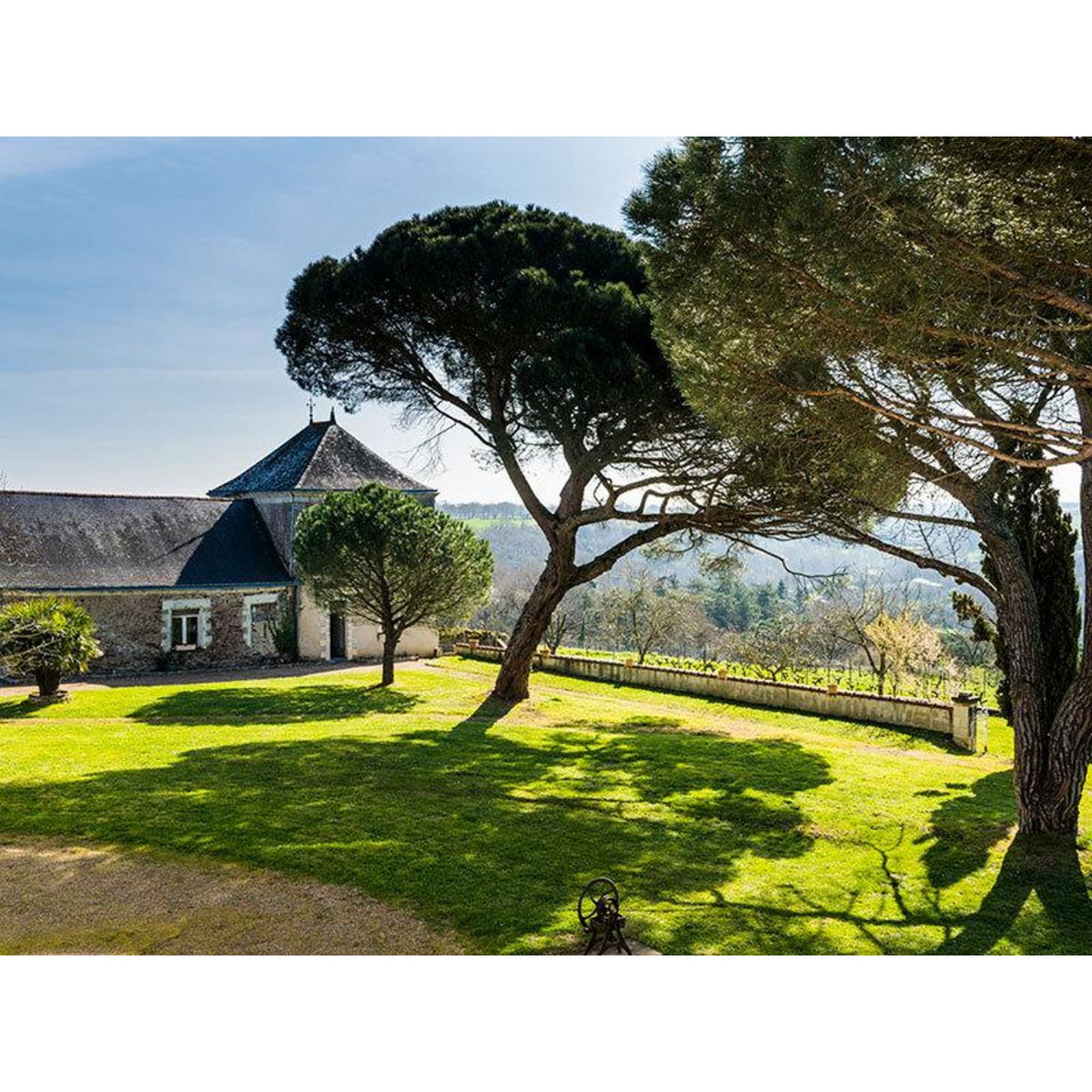 Smartbox 2 jours dans un élégant domaine viticole à deux pas d'Angers - Coffret Cadeau Séjour