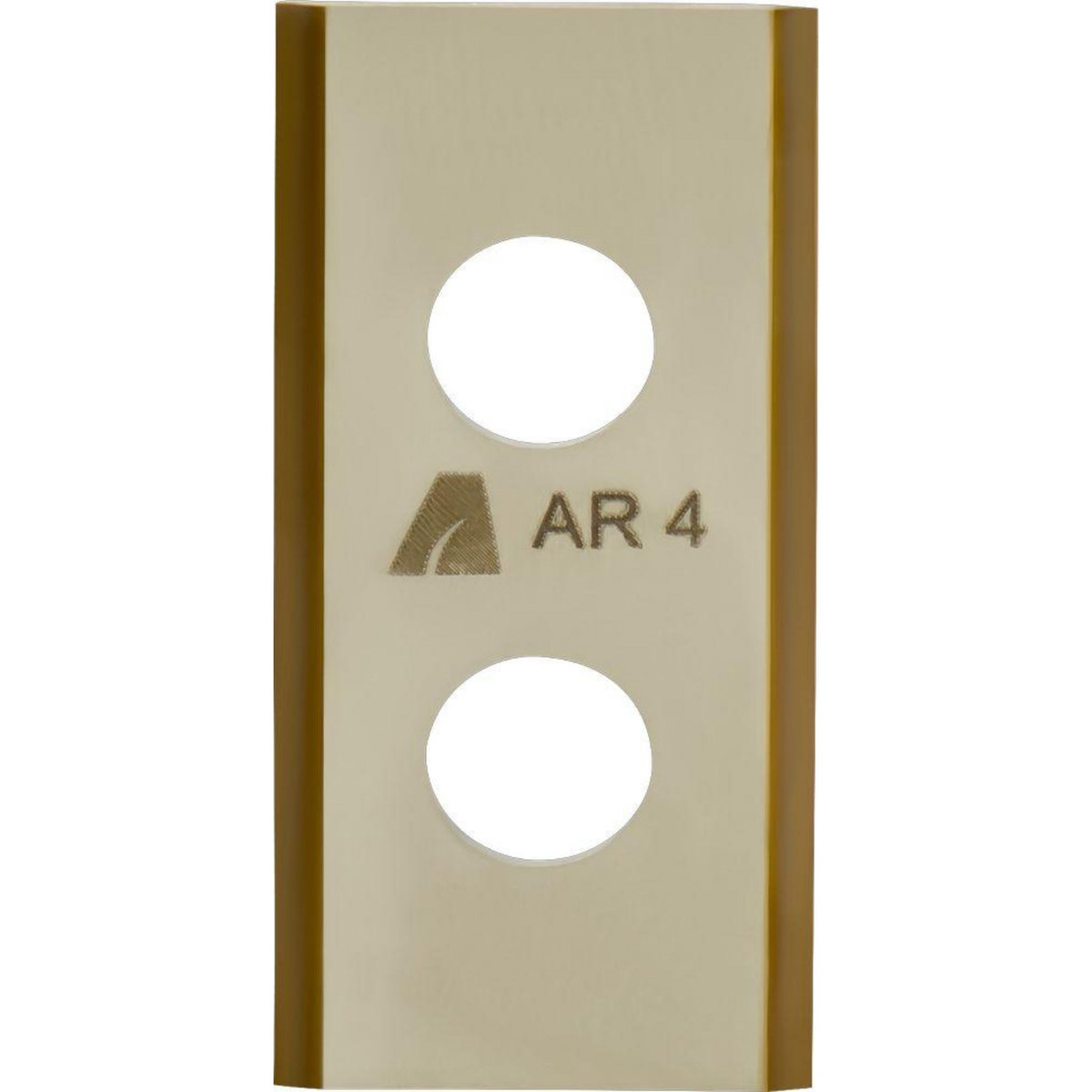 ARNOLD 9 Lames Pour Robo Worx