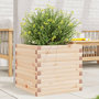 Voir la diapositive 1 : VIDAXL Jardiniere 50x50x45,5 cm bois de pin massif
