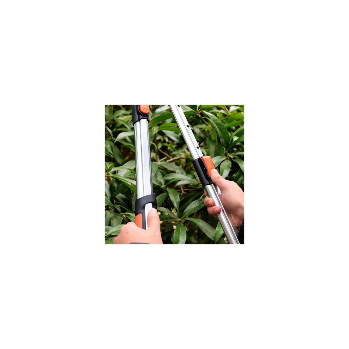 SUAN Coupe branche lame enclume - Suan - Manche télescopique - Dimensions : 87 x 34 cm