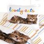 Voir la diapositive 2 : Dourev Housse de couette 140x200 Finn + taie coton 52 fils