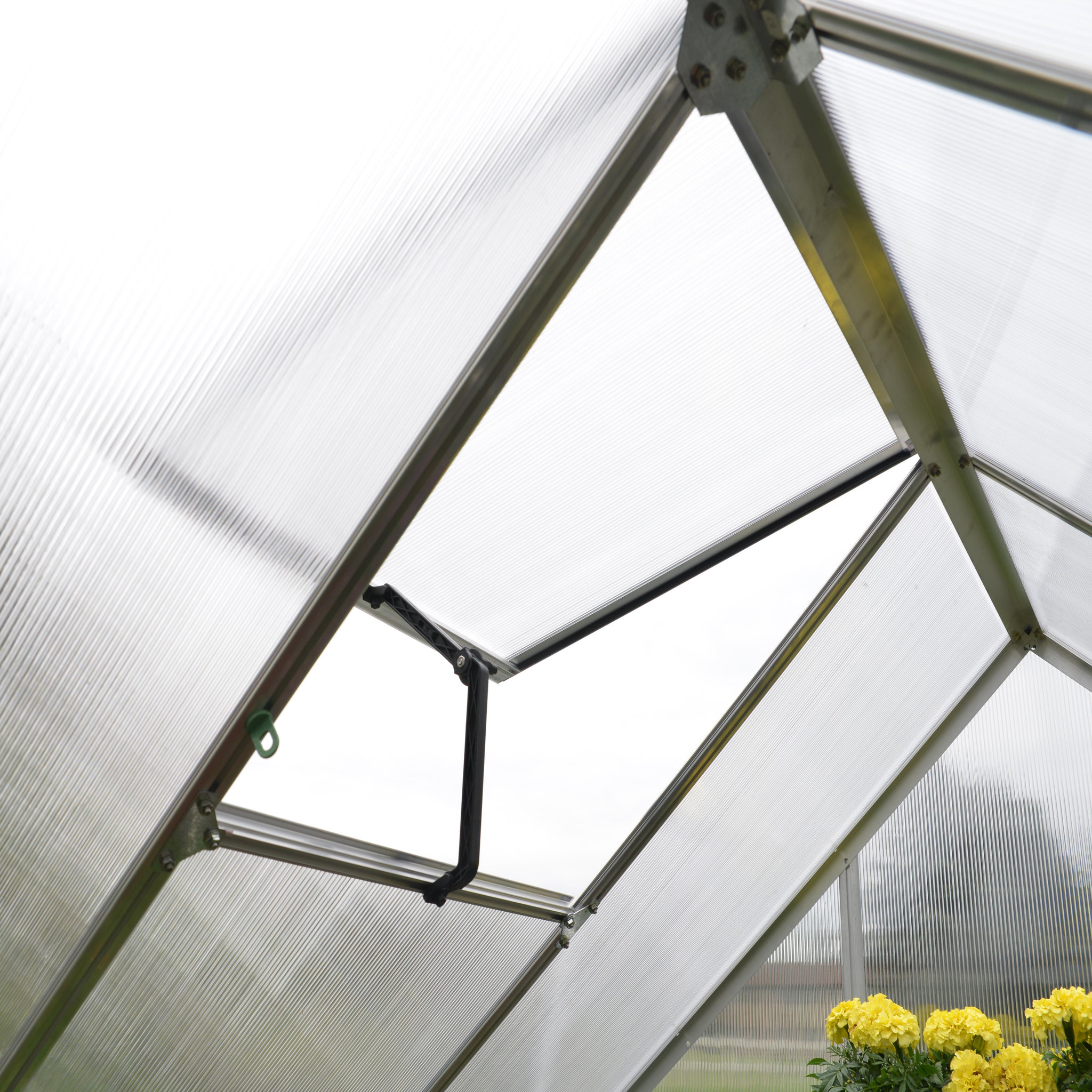 Voir la diapositive 7 : Canopia by PALRAM Serre de jardin - Polycarbonate - 5,6m² - MYTHOS