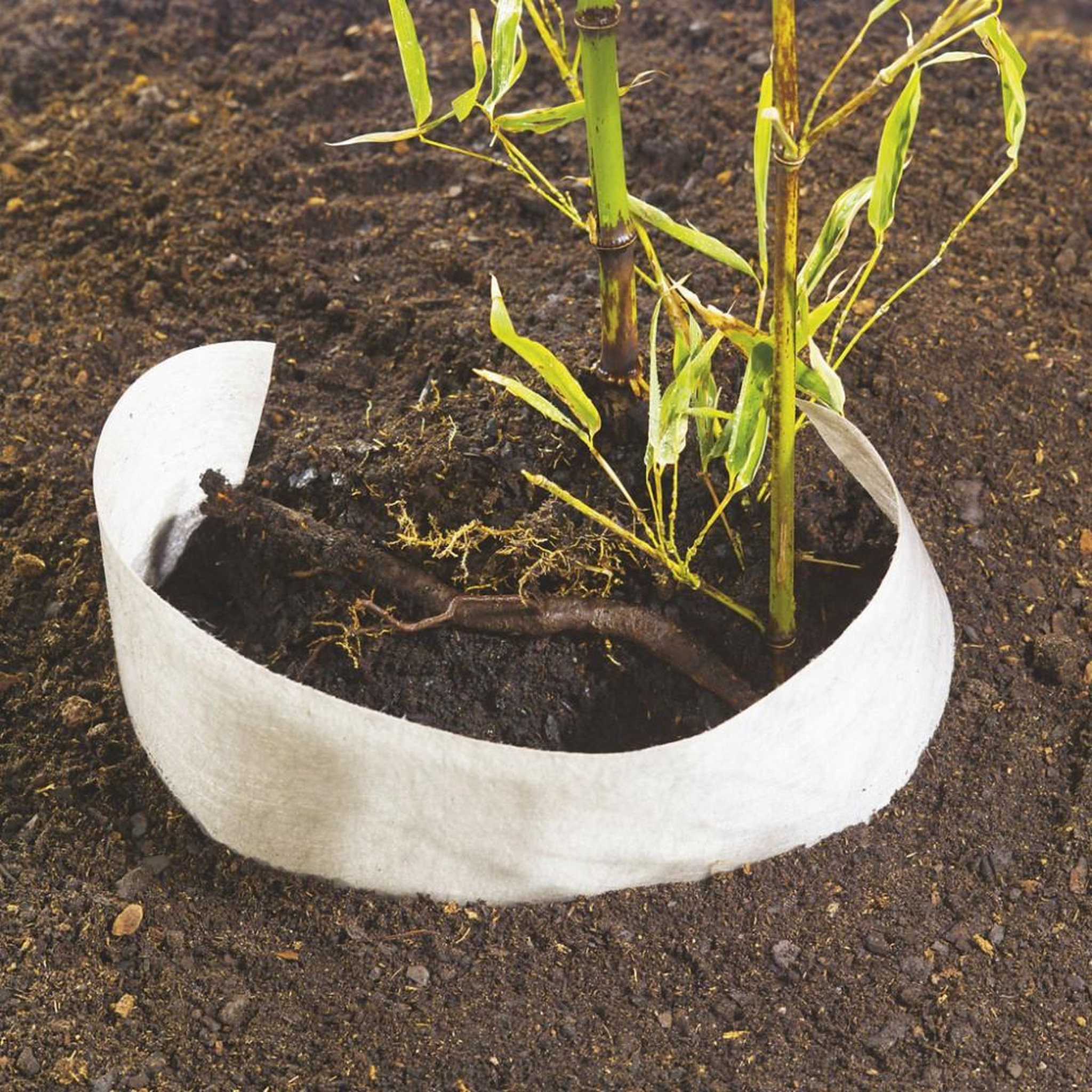 Nortene Protection pour vos plantes et barrière aux racines fugitives -