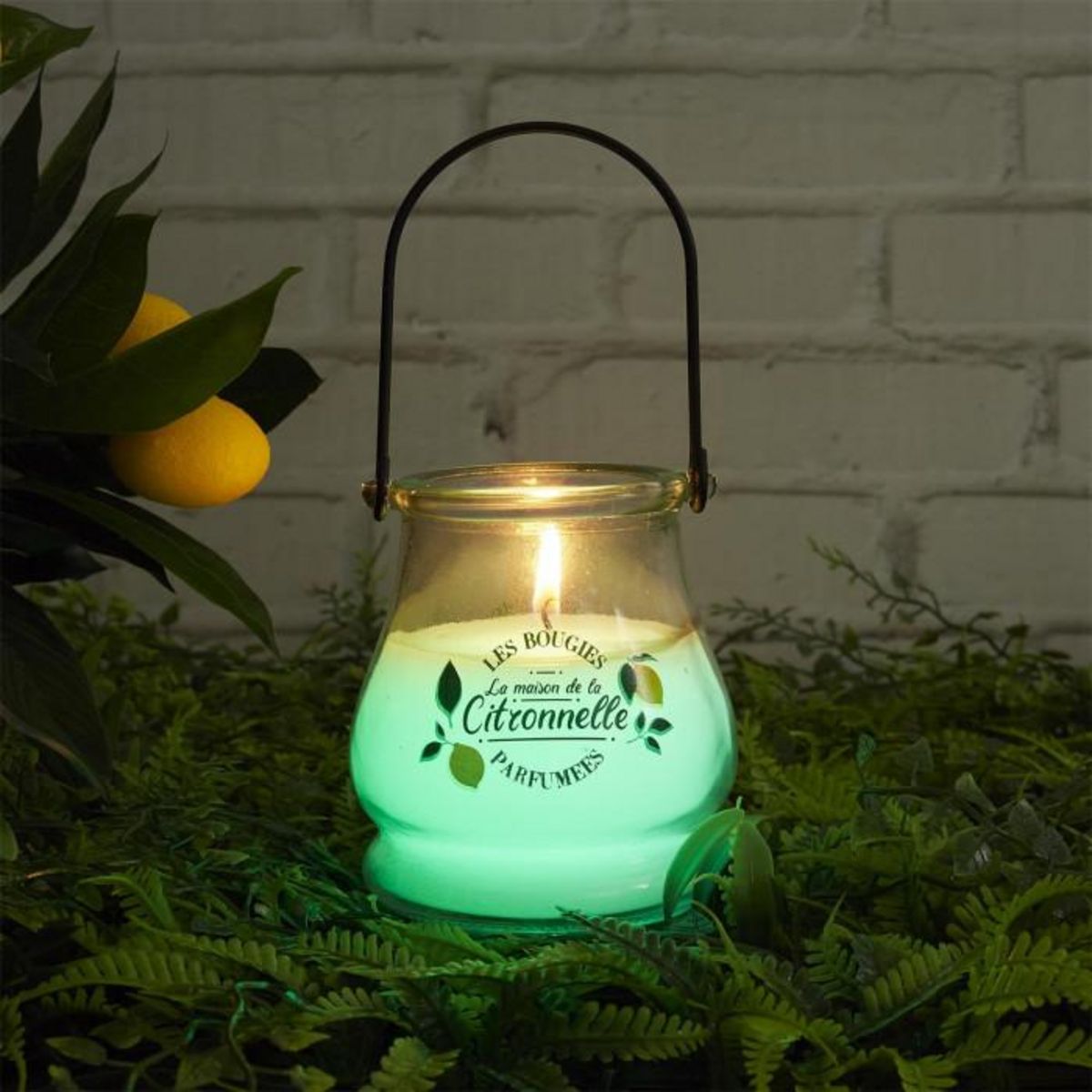 Paris Prix Bougie Parfumée Antimoustique  Couleur  200g Citronnelle