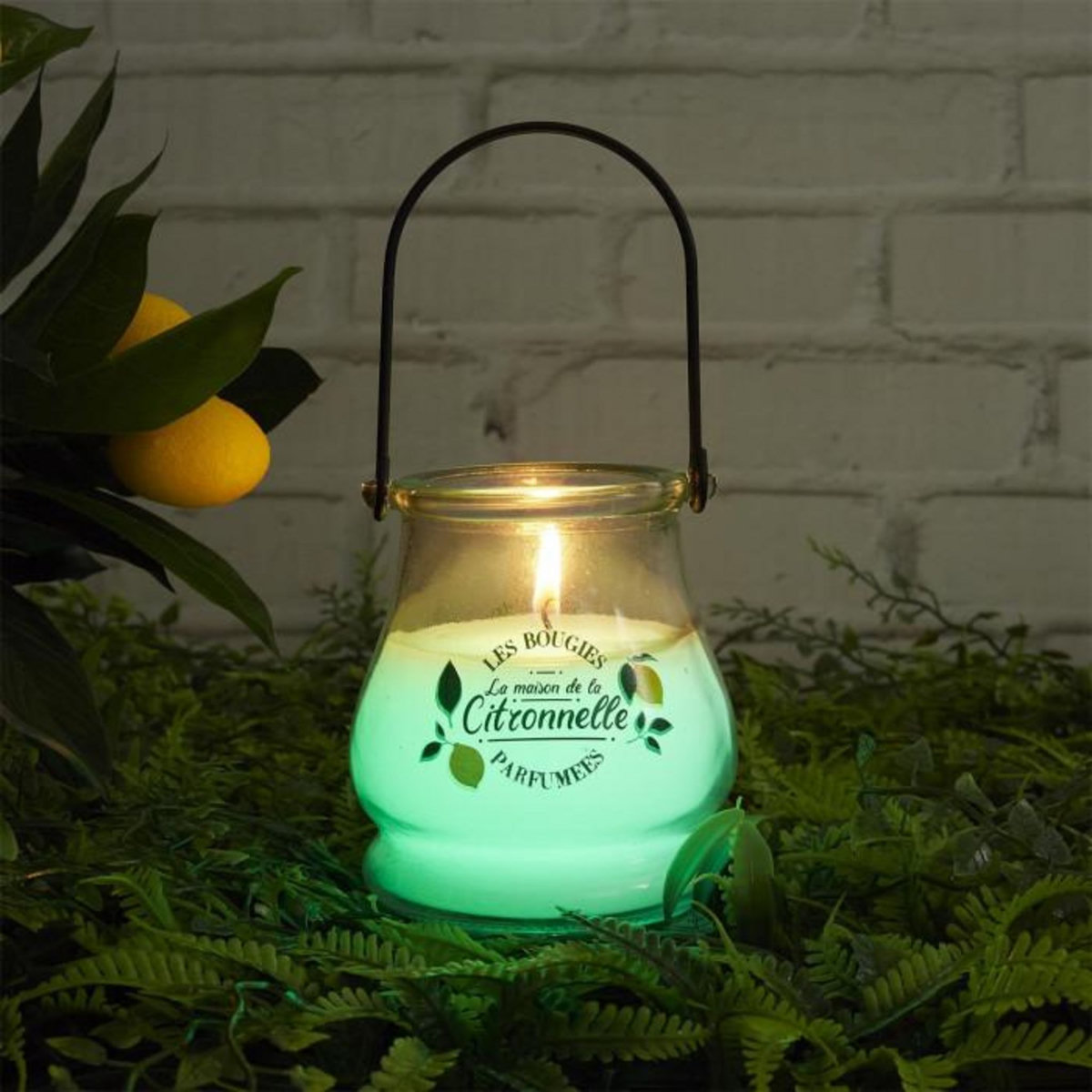 Paris Prix Bougie Parfumée Antimoustique  Couleur  200g Citronnelle