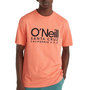 Voir la diapositive 1 : O'NEILL T Shirt  Homme O'Neill Cali