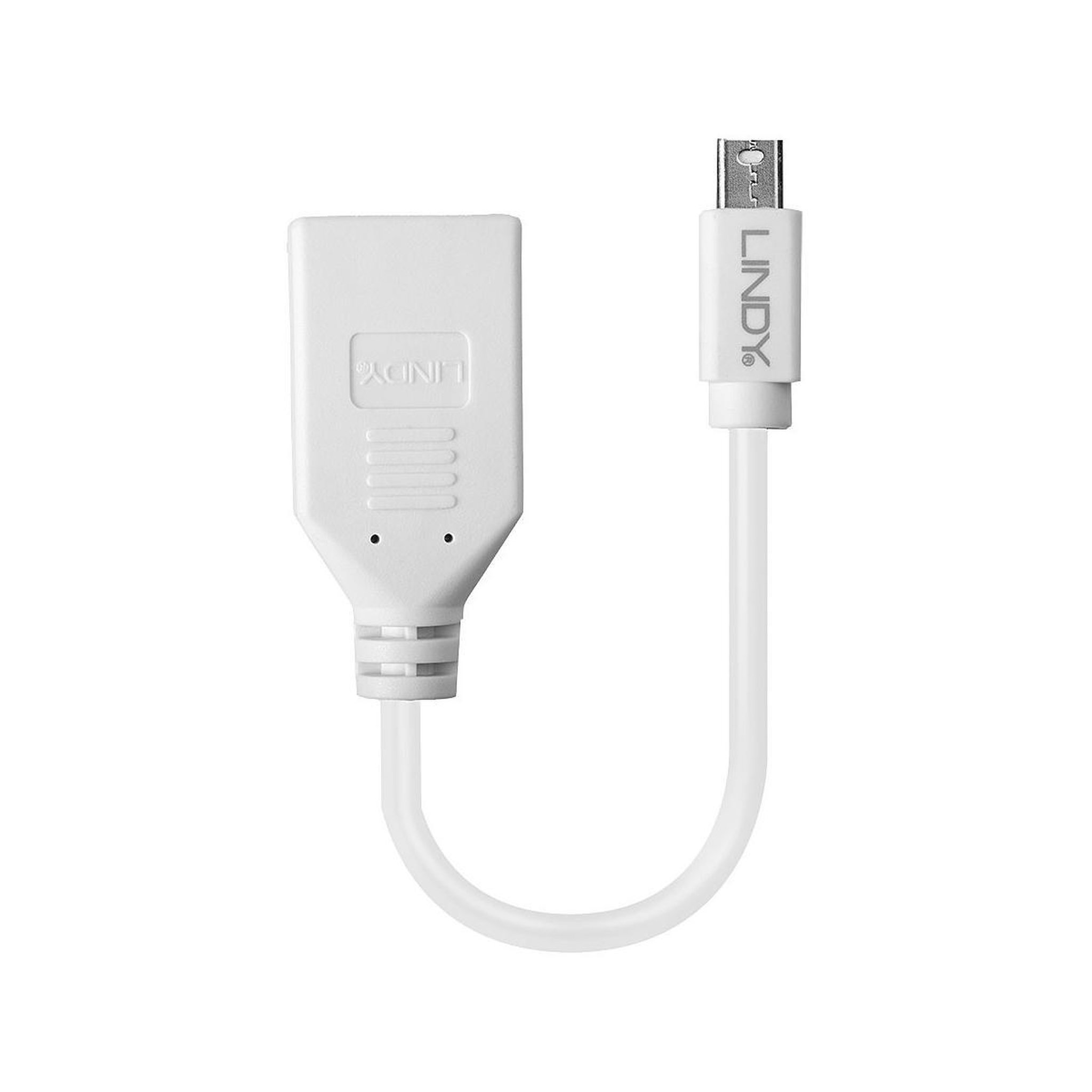 Voir la diapositive 3 : LINDY Lindy 41021 câble displayport 0,15 m mini displayport blanc