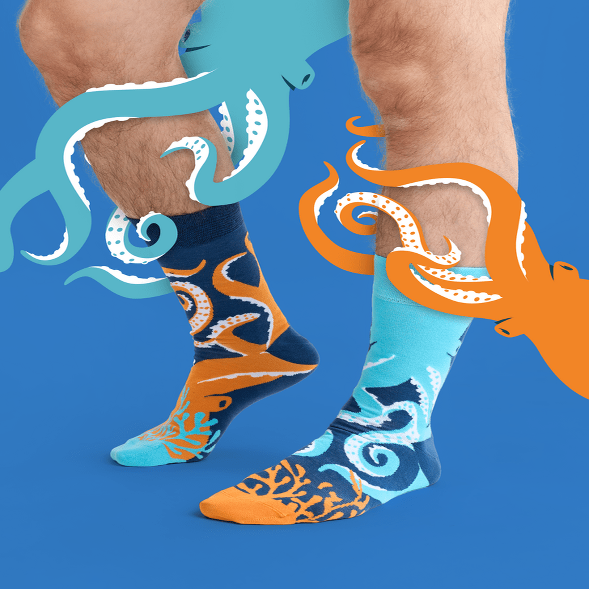 Voir la diapositive 4 : DEDOLES Chaussettes dedoles poulpe