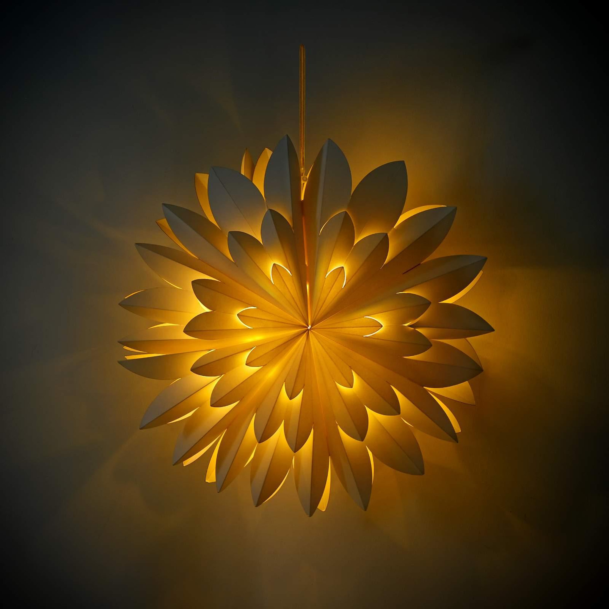 Voir la diapositive 5 : VIDAXL Eclairage de Noël RAAHE 10 LED Blanc chaud 60 x 20 x 60 cm
