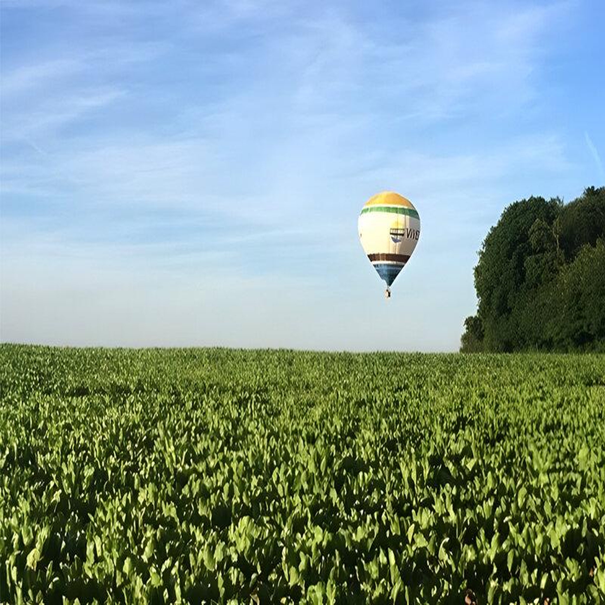 Voir la diapositive 5 : Smartbox Vol en montgolfière & pause gourmande pour 2 près de reims - coffret cadeau sport & aventure