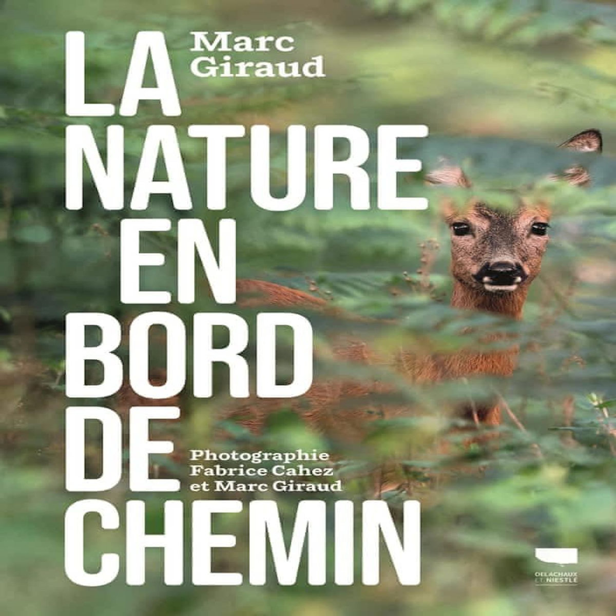 LA NATURE EN BORD DE CHEMIN, Giraud Marc