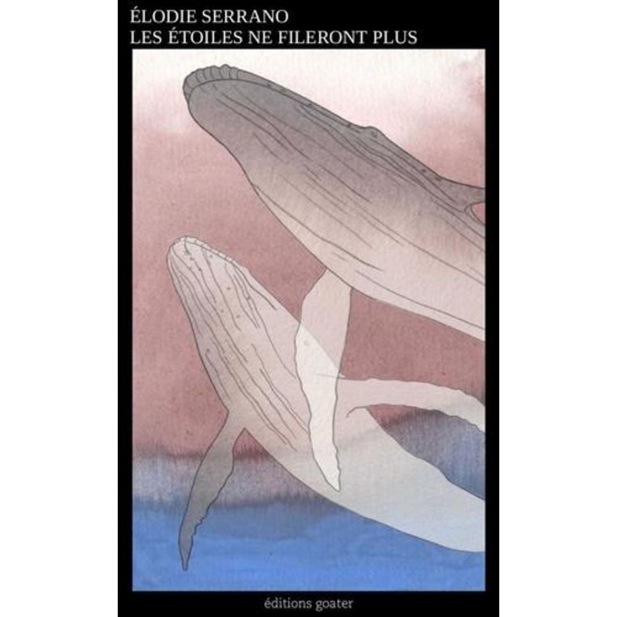 LES ETOILES NE FILERONT PLUS, Serrano Elodie