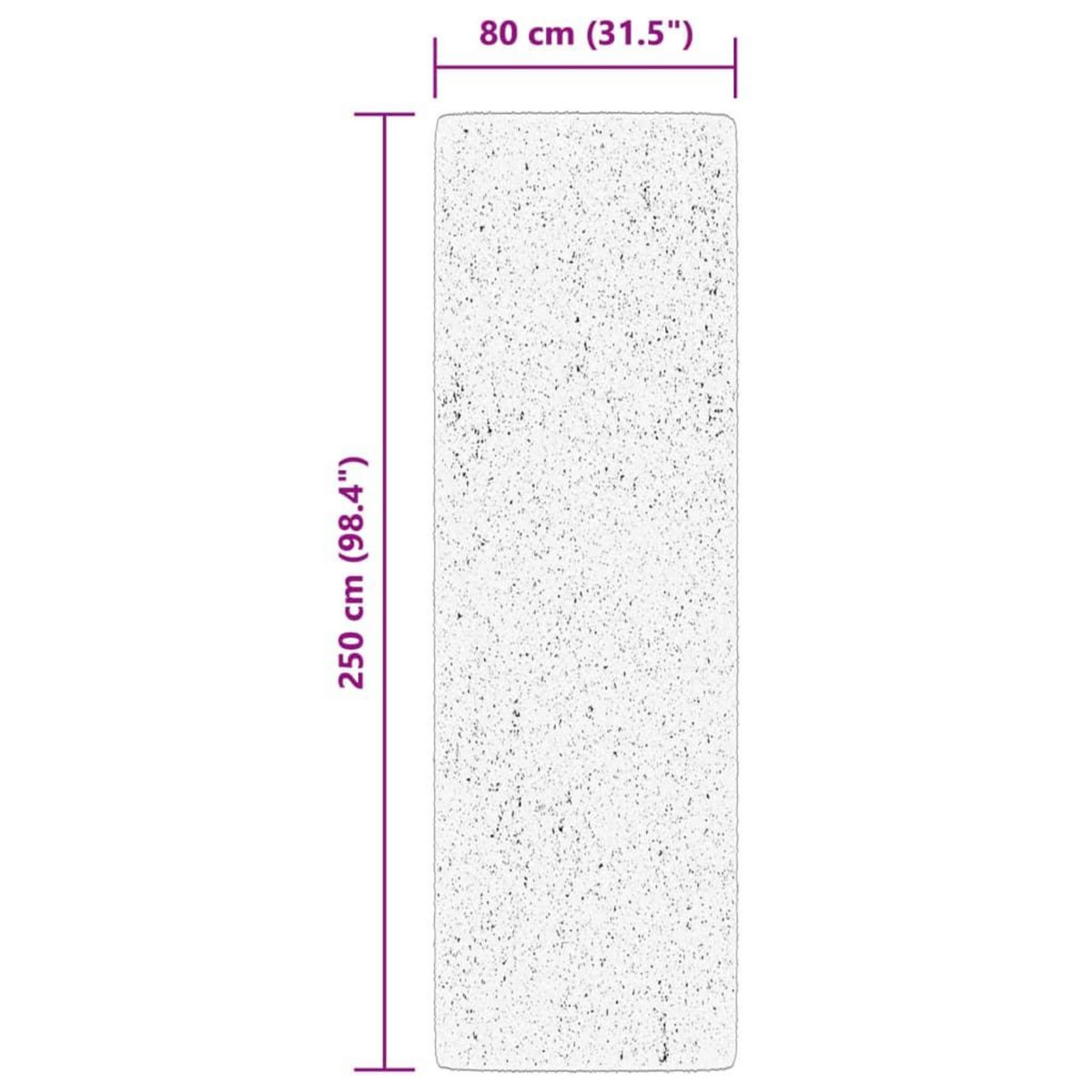 VIDAXL Tapis ARBIZU interieur exterieur design vintage 80x250 cm