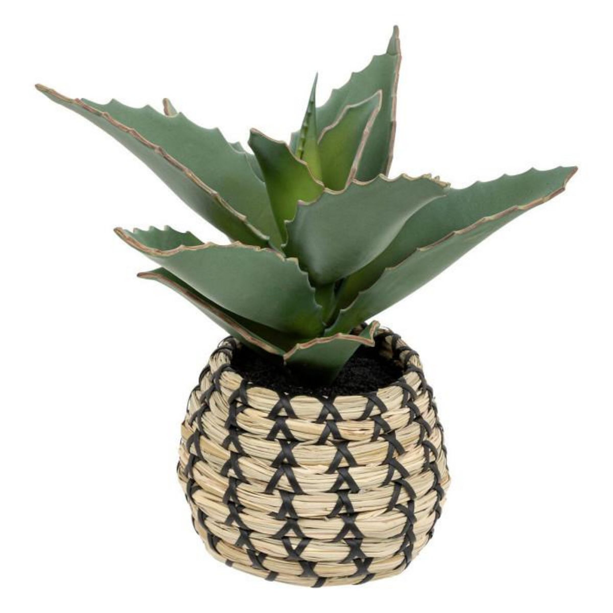 ATMOSPHERA Plante Artificielle Samouraï  Pio  26cm Naturel