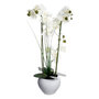 Voir la diapositive 1 : ATMOSPHERA Composition Florale & Vase  Orchidée  53cm Blanc