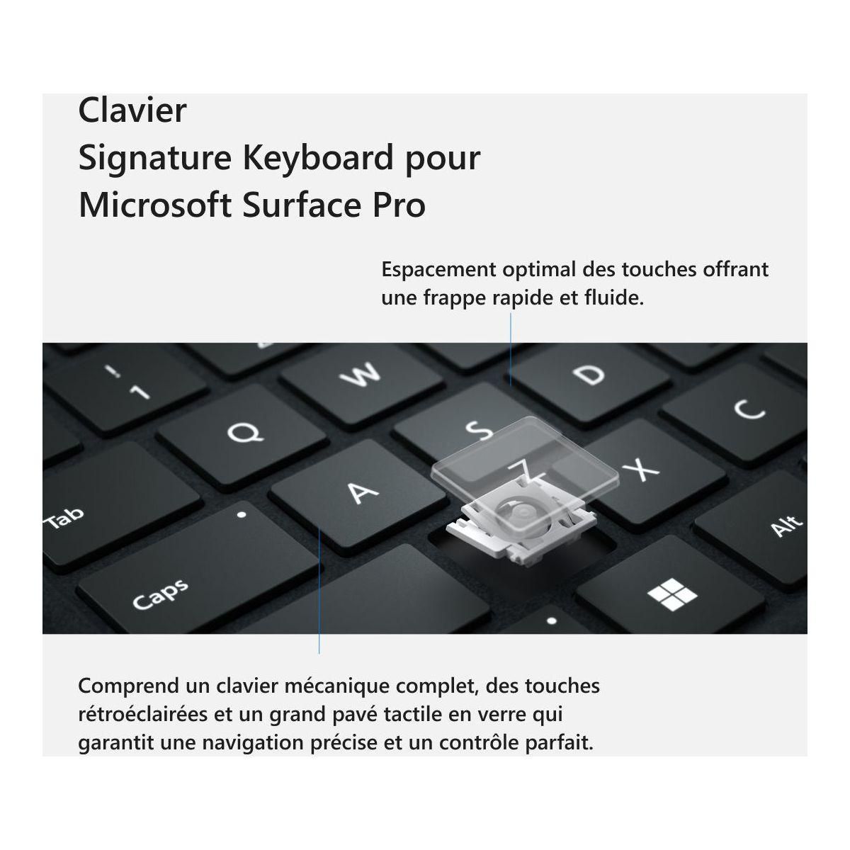 MICROSOFT Clavier Signature - Forest