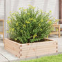 Voir la diapositive 3 : VIDAXL Jardiniere 80x80x23 cm bois de pin massif