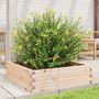 Voir la diapositive 3 : VIDAXL Jardiniere 80x80x23 cm bois de pin massif