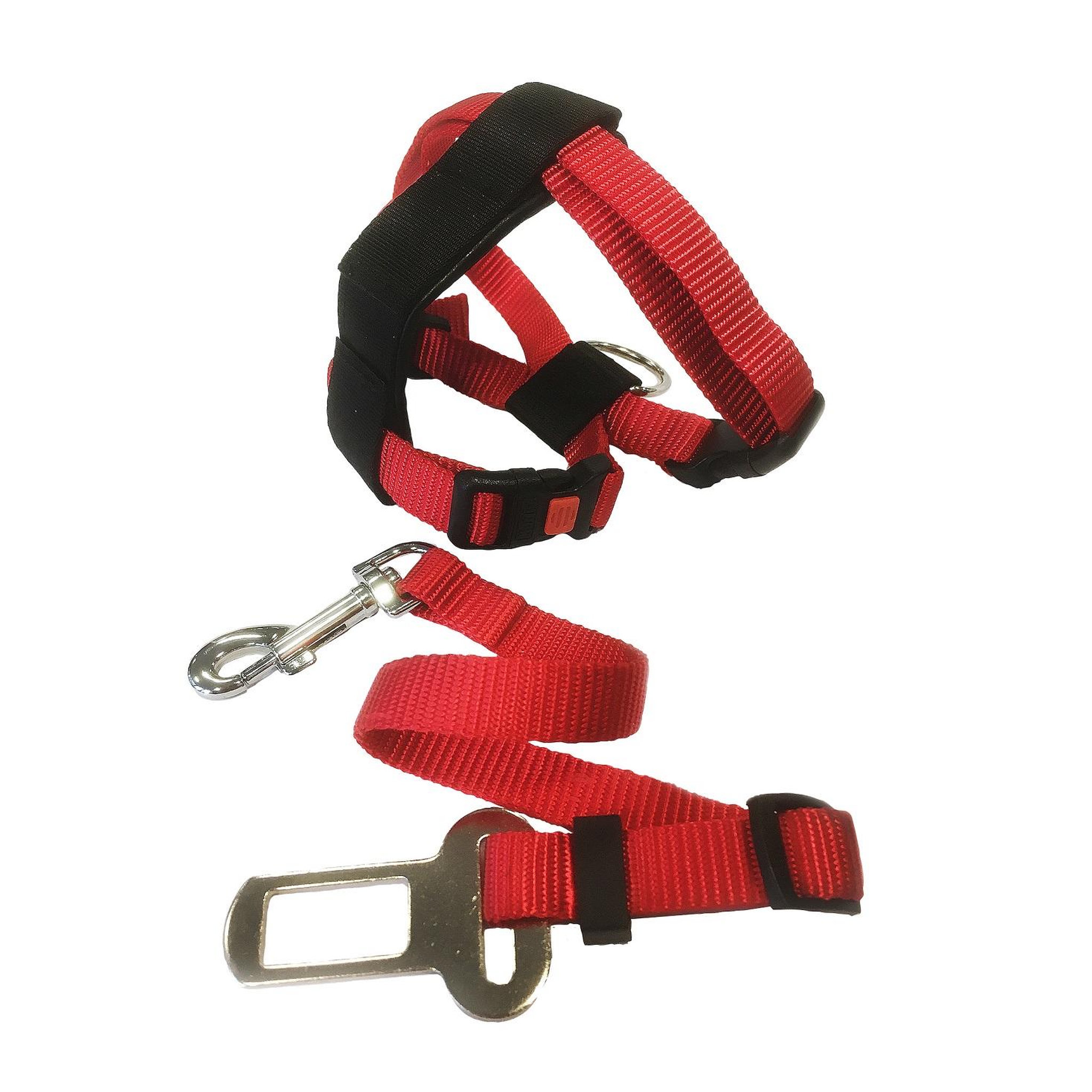 Eden Harnais et ceinture de sécurité pour chat