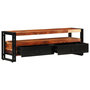 Voir la diapositive 3 : VIDAXL Meuble TV 120x30x40 cm Bois de Sesham solide