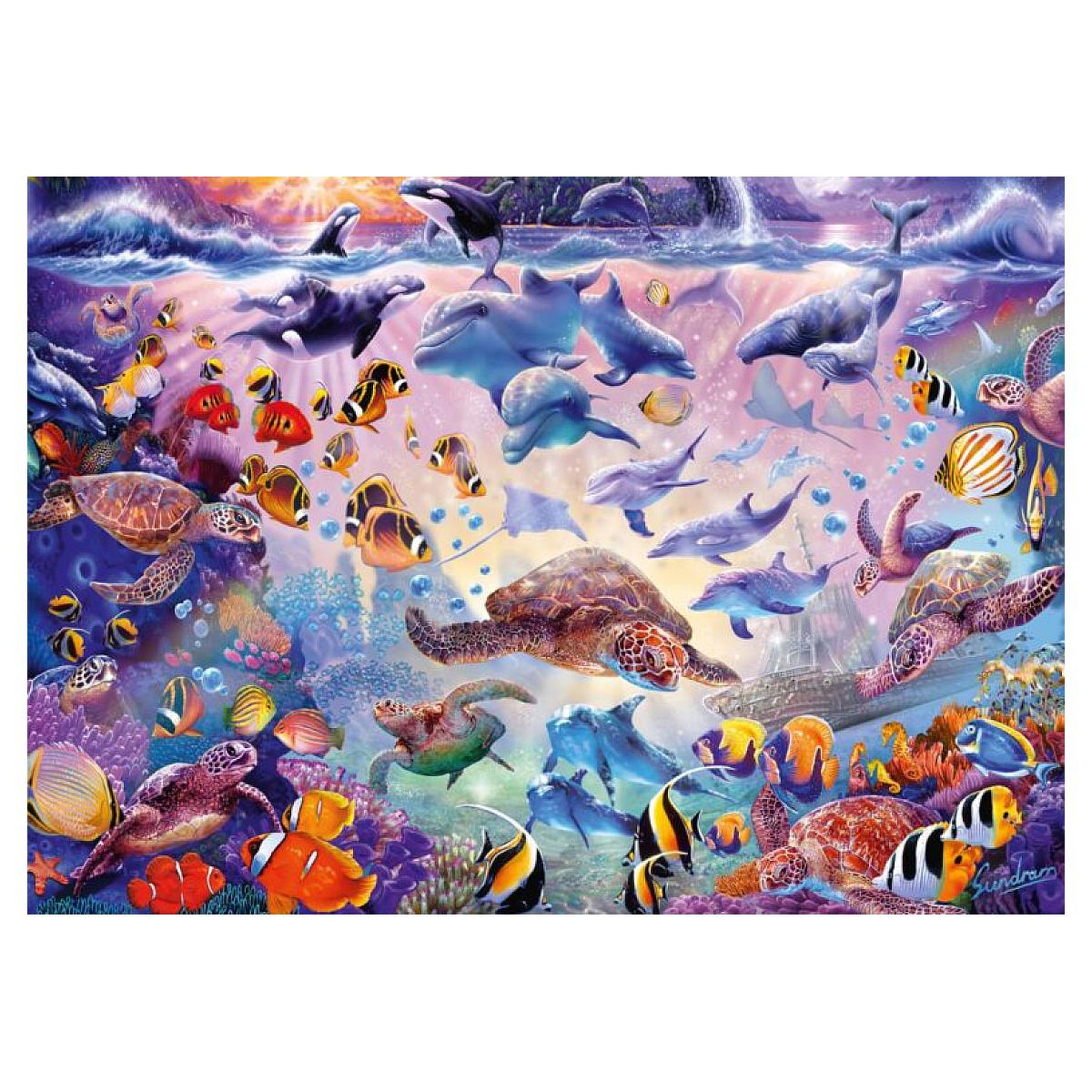 Voir la diapositive 2 : Schmidt Spiele 1000 pcs Puzzle Beauté de l‘océan