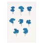 RICO DESIGN Dianthus chinois bleu séchés et pressés