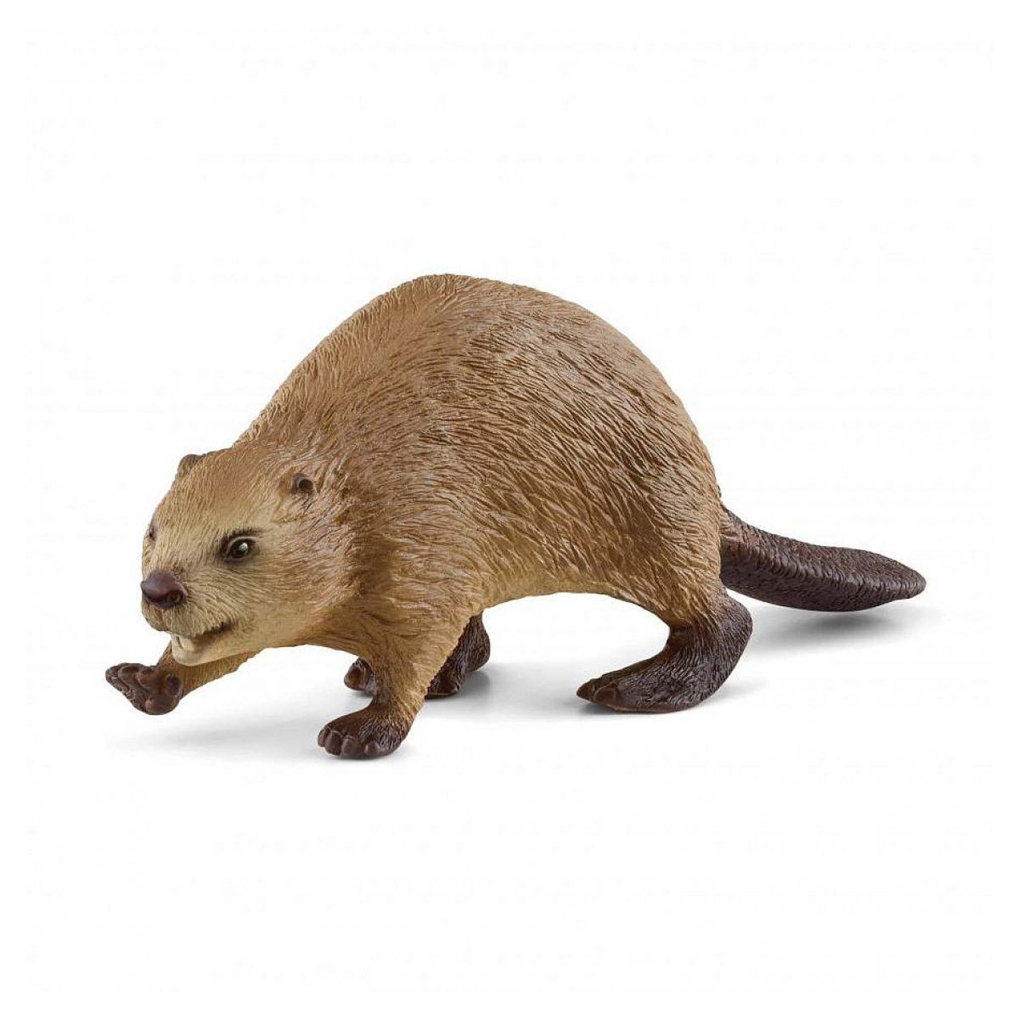 Voir la diapositive 1 : Schleich 14855 figurine animale castor