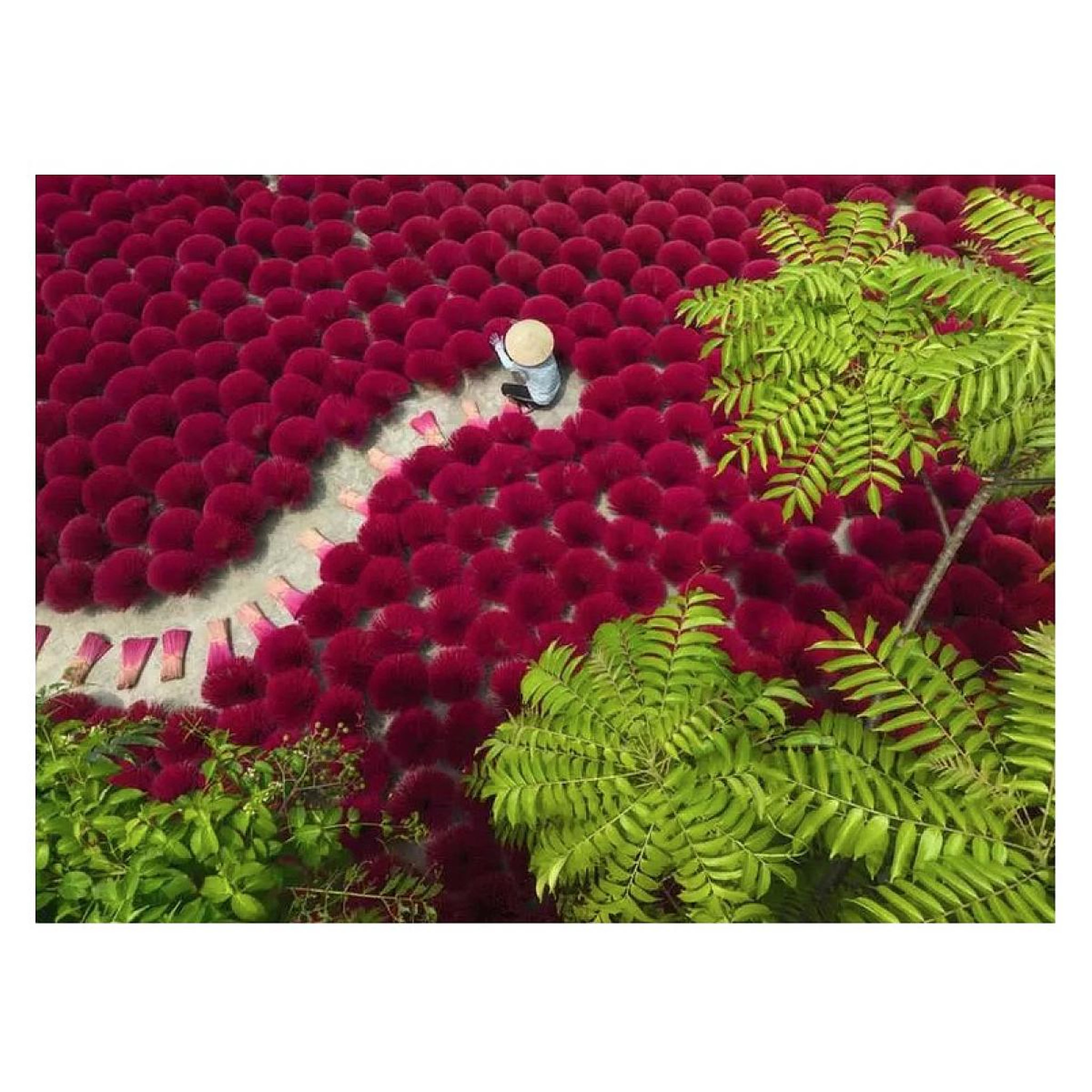 Voir la diapositive 2 : RAVENSBURGER Puzzle 500 pieces Un ocean rouge
