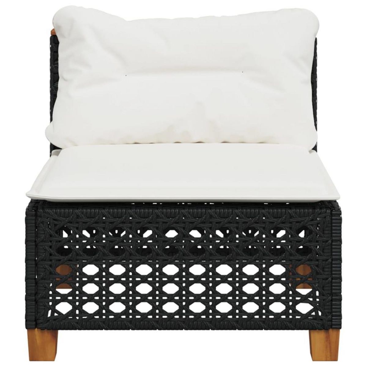 VIDAXL Canape de jardin sans accoudoirs coussins noir resine tressee