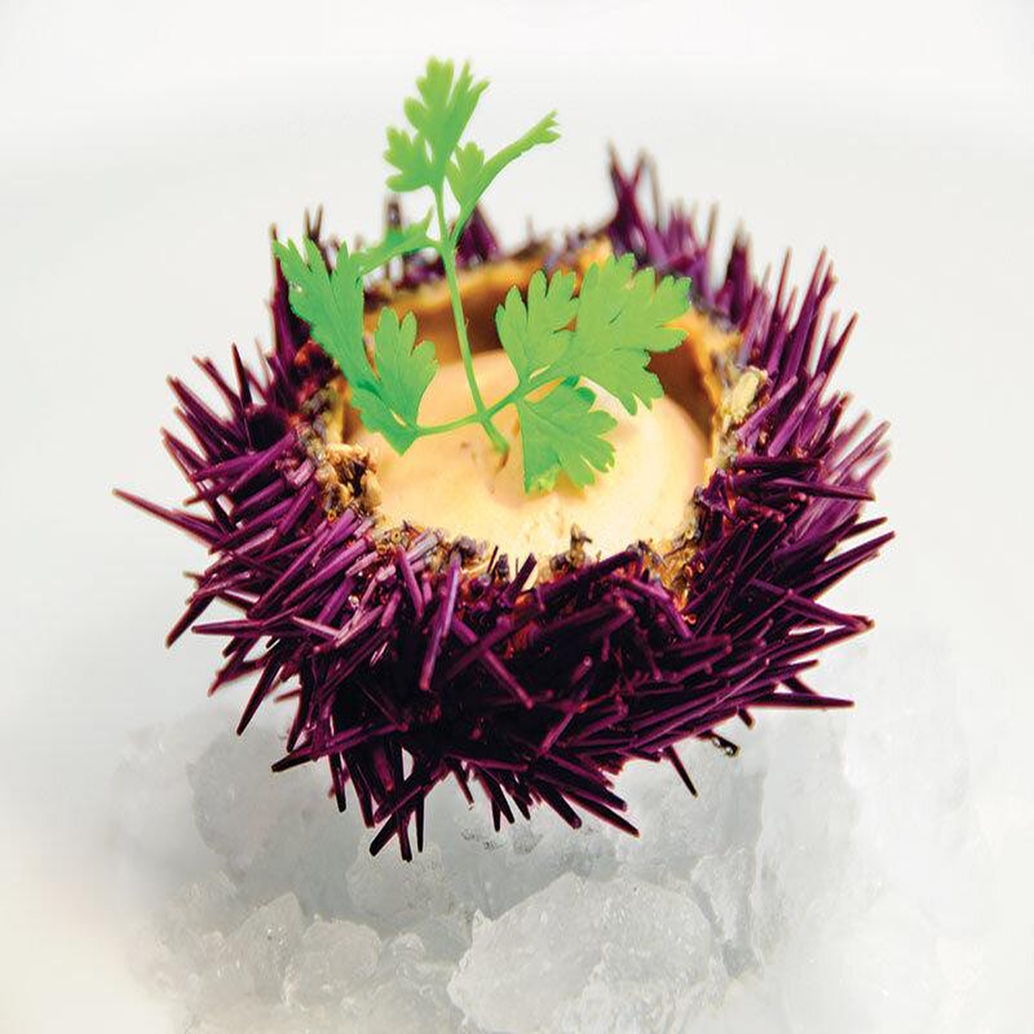 Voir la diapositive 3 : Smartbox Adresses primées : repas 7 plats au restaurant la ribaudière près de cognac - coffret cadeau gastronomie
