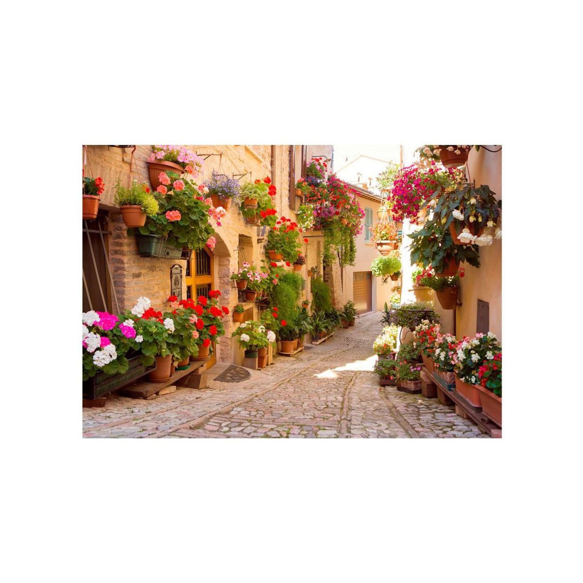 Paris Prix Papier Peint  The Alley in Spello Italy