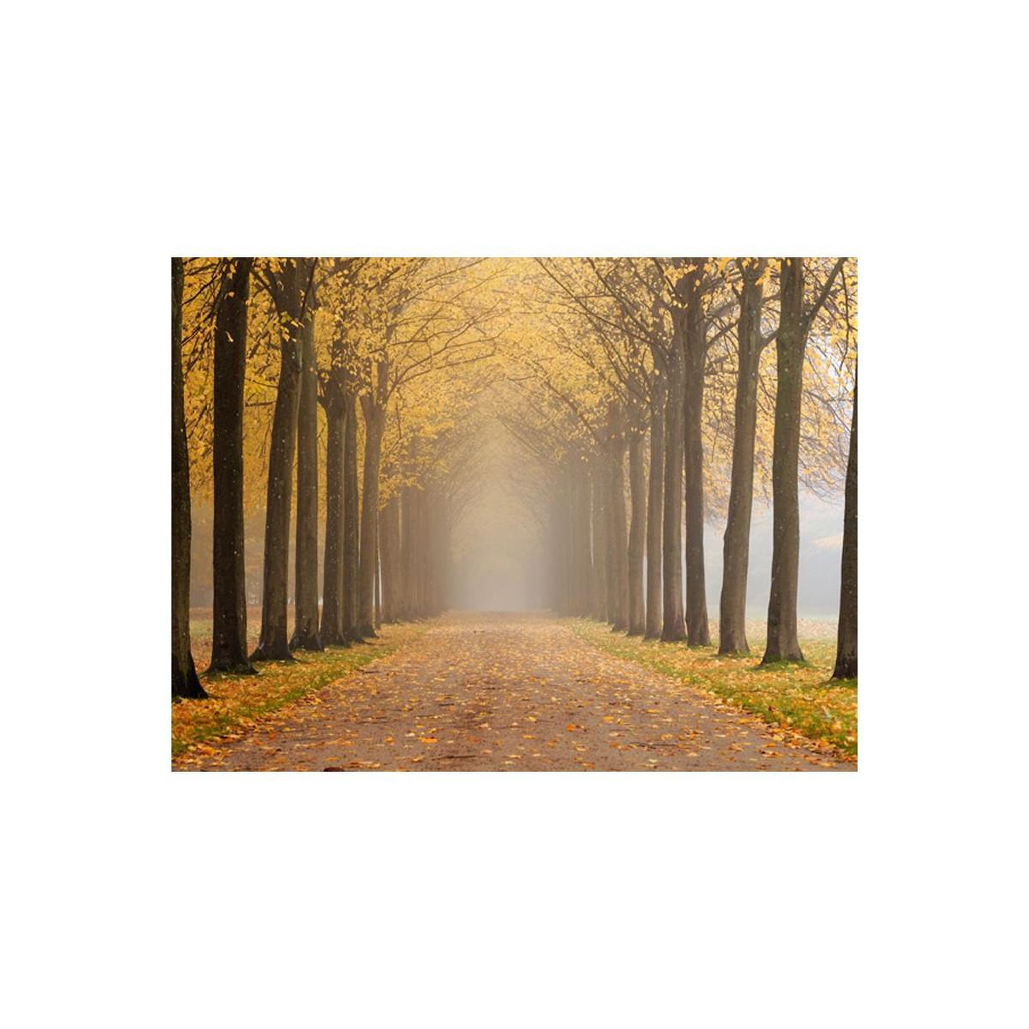 Voir la diapositive 2 : Paris Prix Papier Peint  Journey To the Unknown