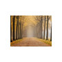 Voir la diapositive 2 : Paris Prix Papier Peint  Journey To the Unknown