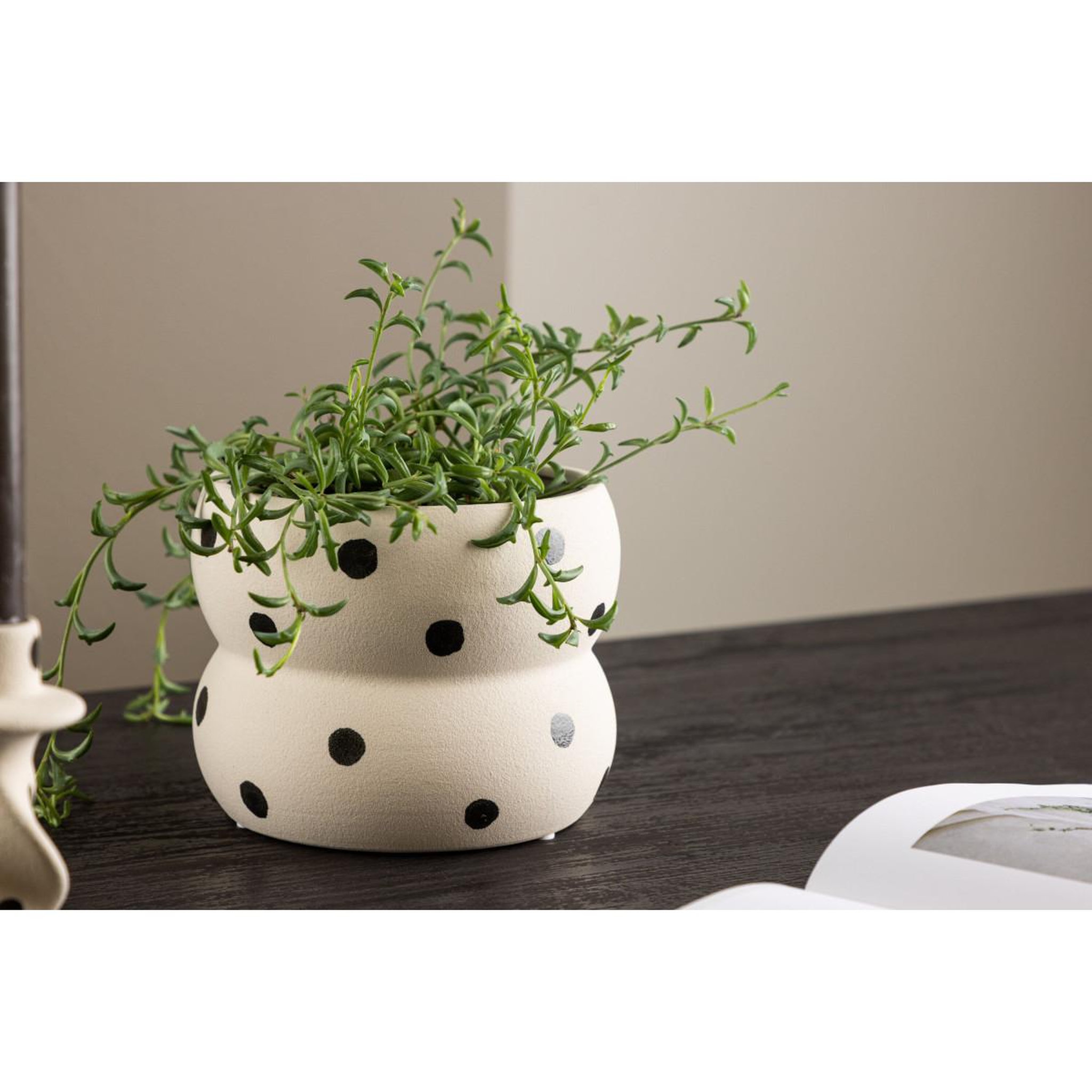 Voir la diapositive 4 : Paris Prix Pot déco en céramique  dapne  16cm blanc & noir