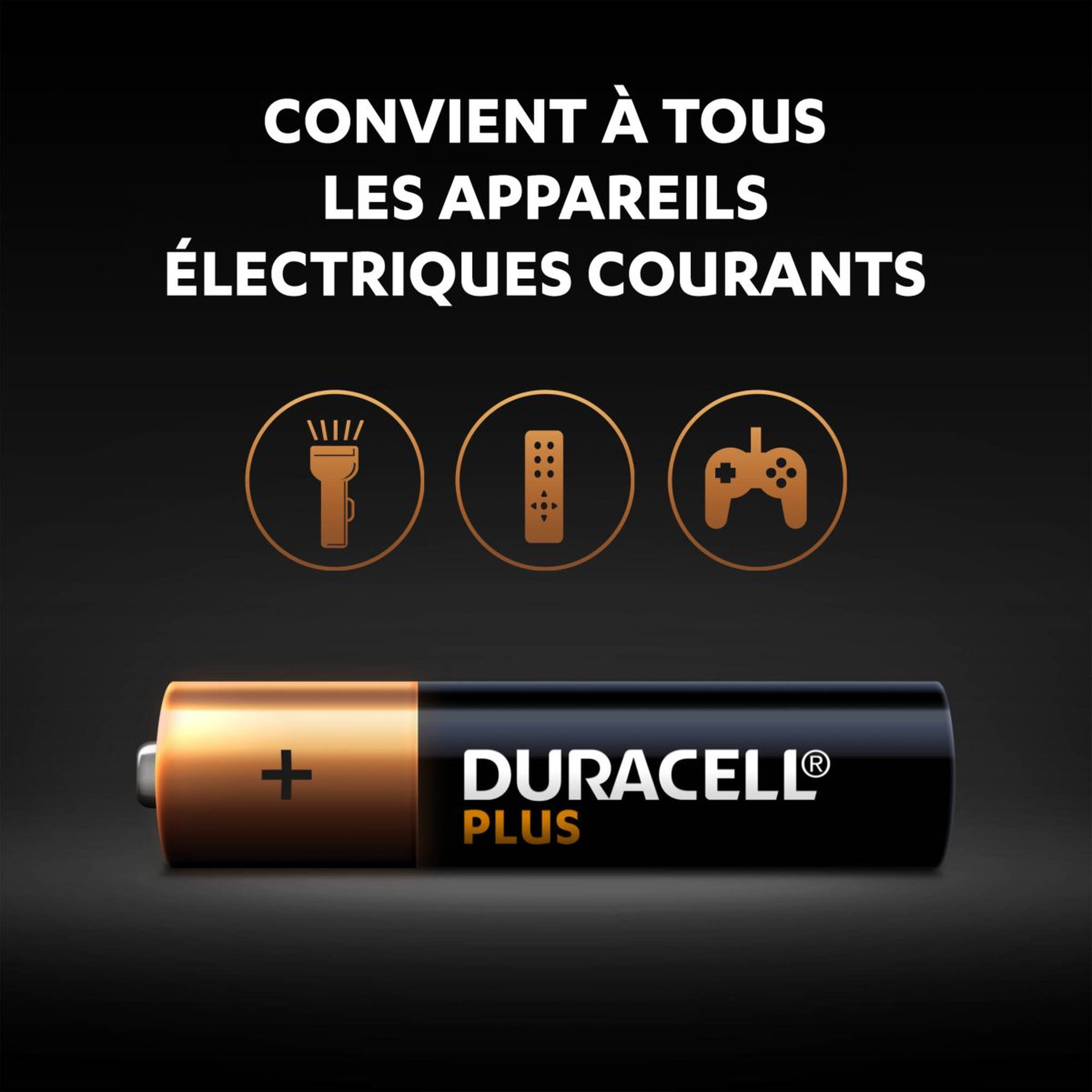 Voir la diapositive 6 : DURACELL Lot de 24 piles duracell plus 100 % AAA panière