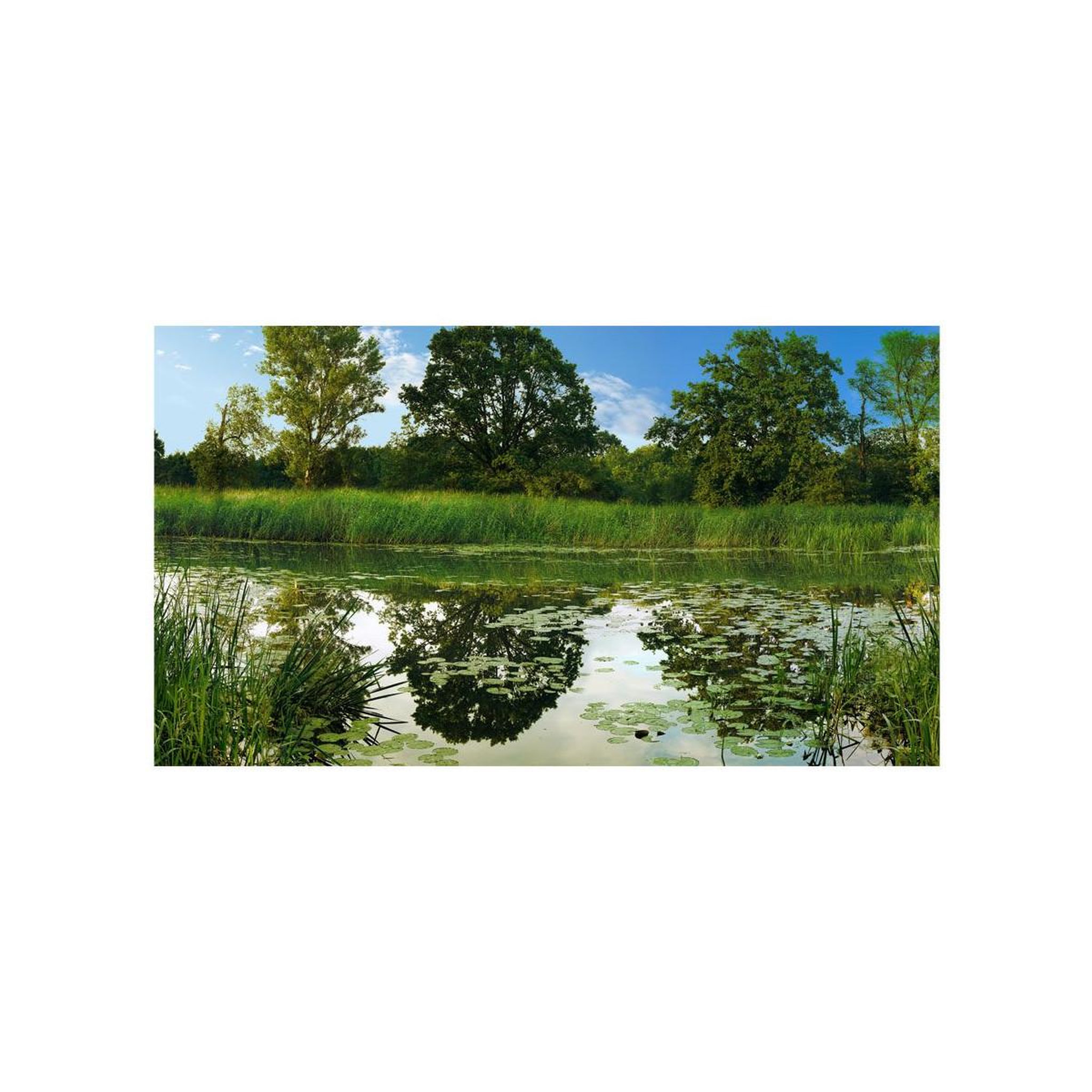 Voir la diapositive 2 : Paris Prix Papier Peint XXL  the Magic Pond