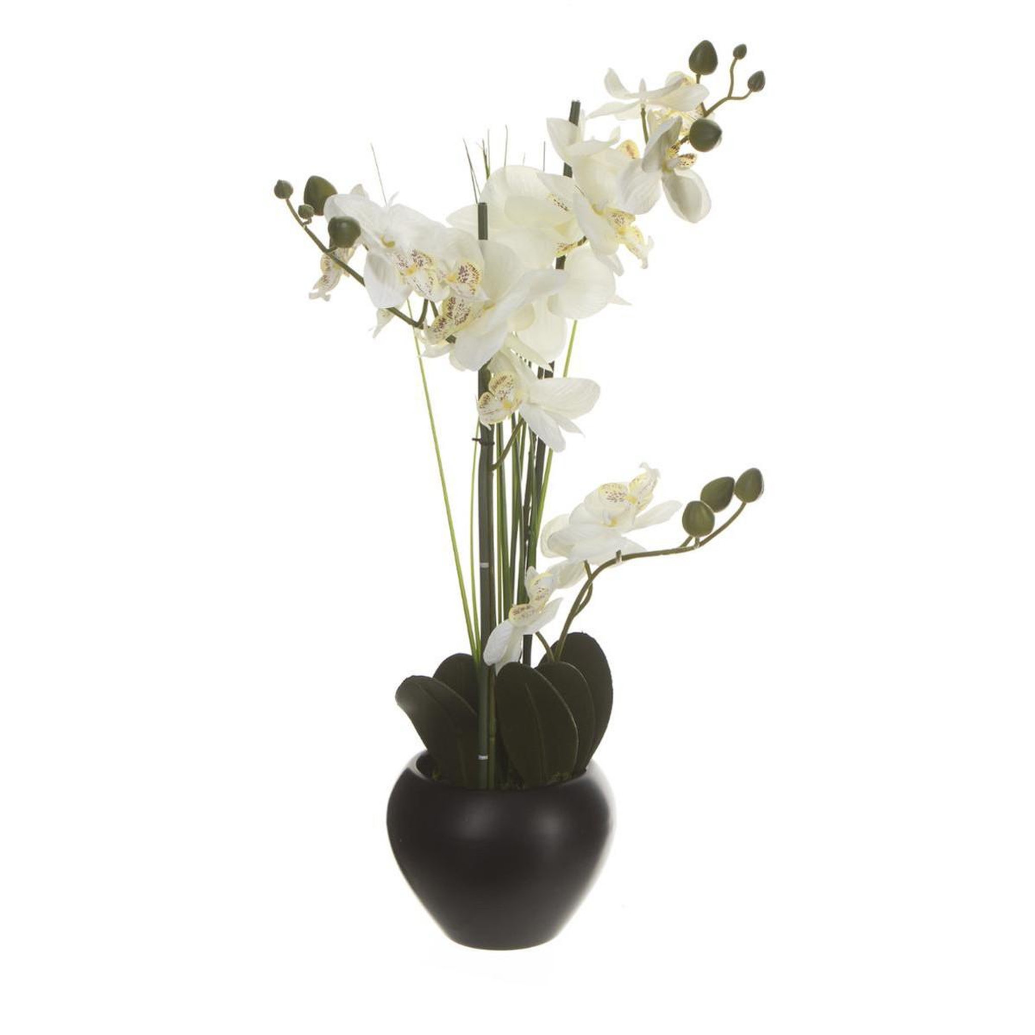 ATMOSPHERA Composition florale & vase  orchidée  53cm noir