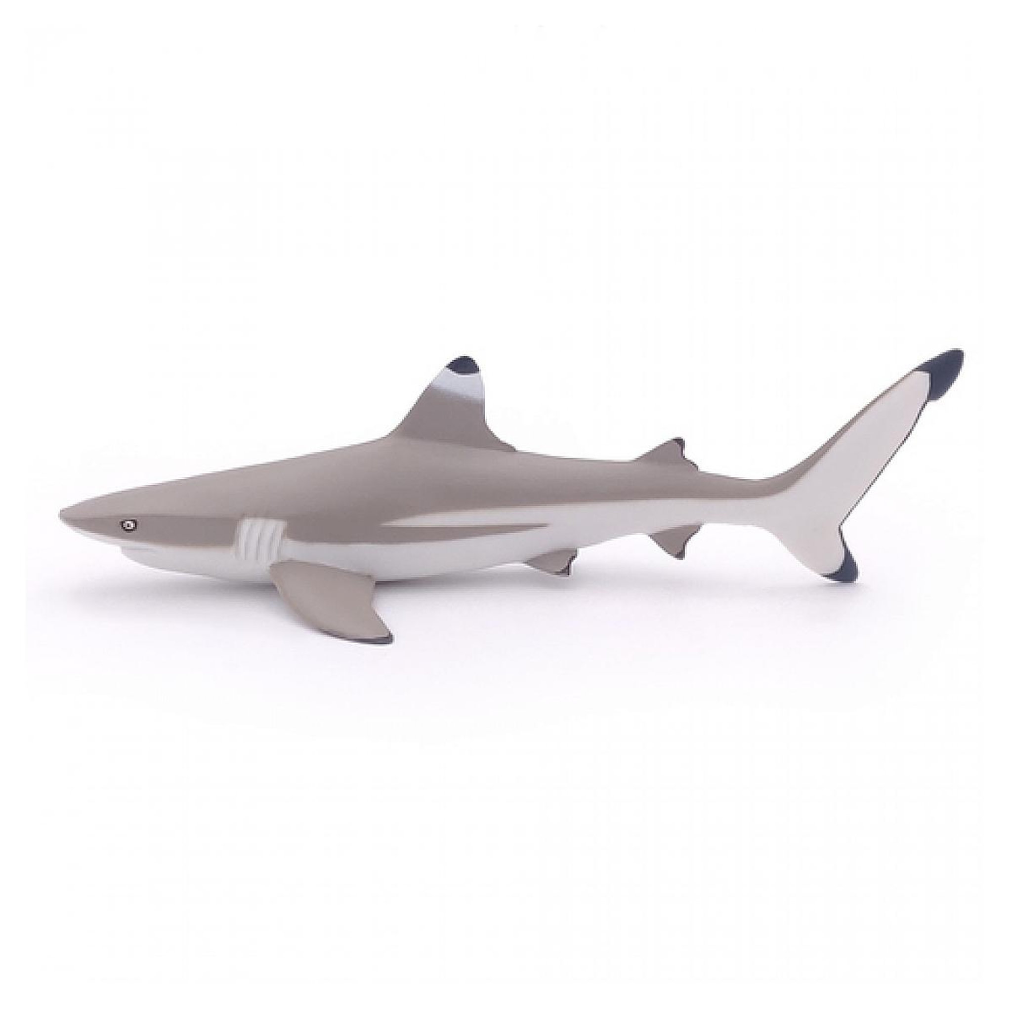 Voir la diapositive 5 : Papo 56034 Requin a pointes noires