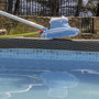 Voir la diapositive 5 : WERKAPRO Aspirateur piscine rond avec filet WERKA PRO