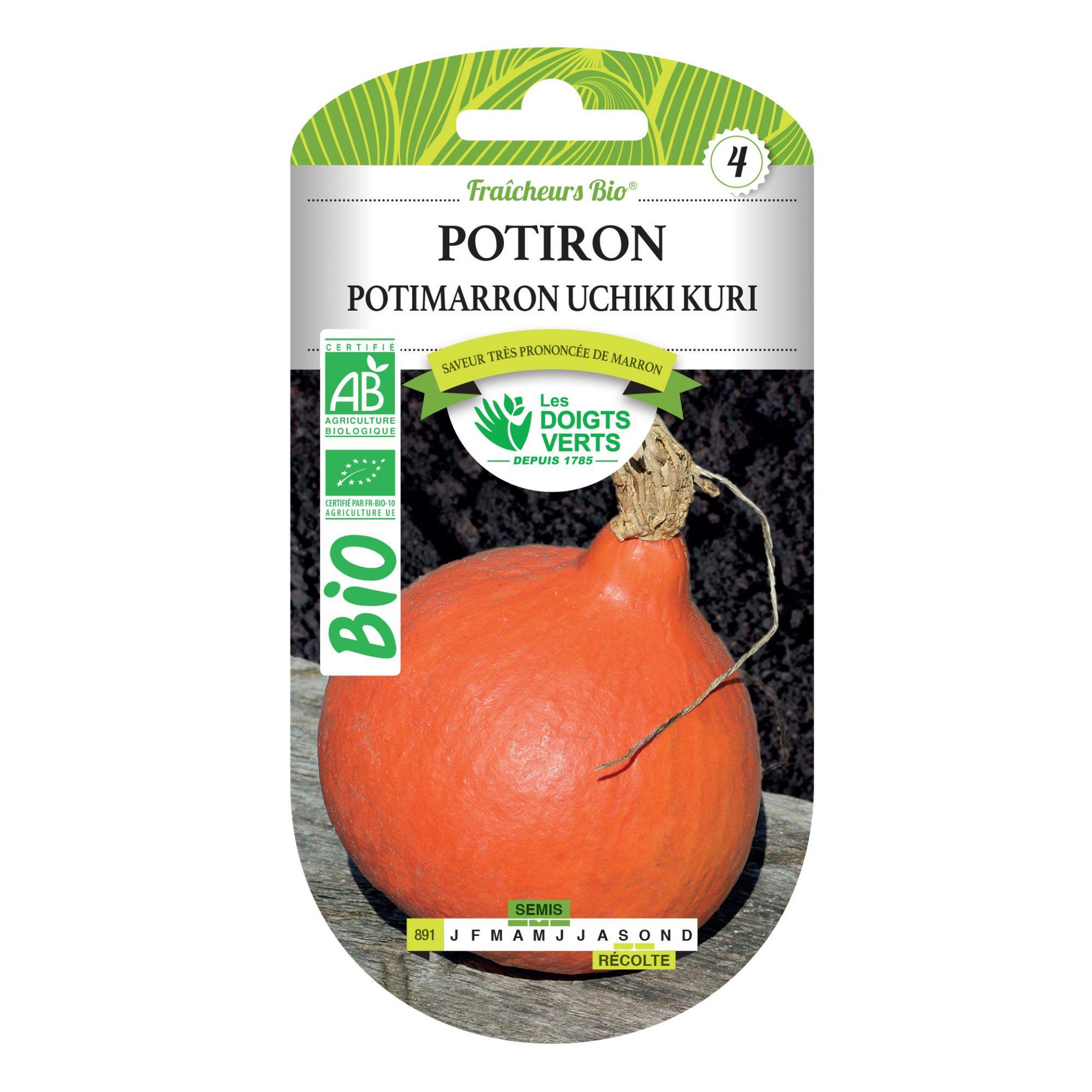LES DOIGTS VERTS Graines potiron potimarron Uchiki Kuri BIO Les Doigts Verts