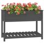 Voir la diapositive 4 : VIDAXL Jardiniere avec etagere Gris 111,5x54x81 cm Bois massif de pin