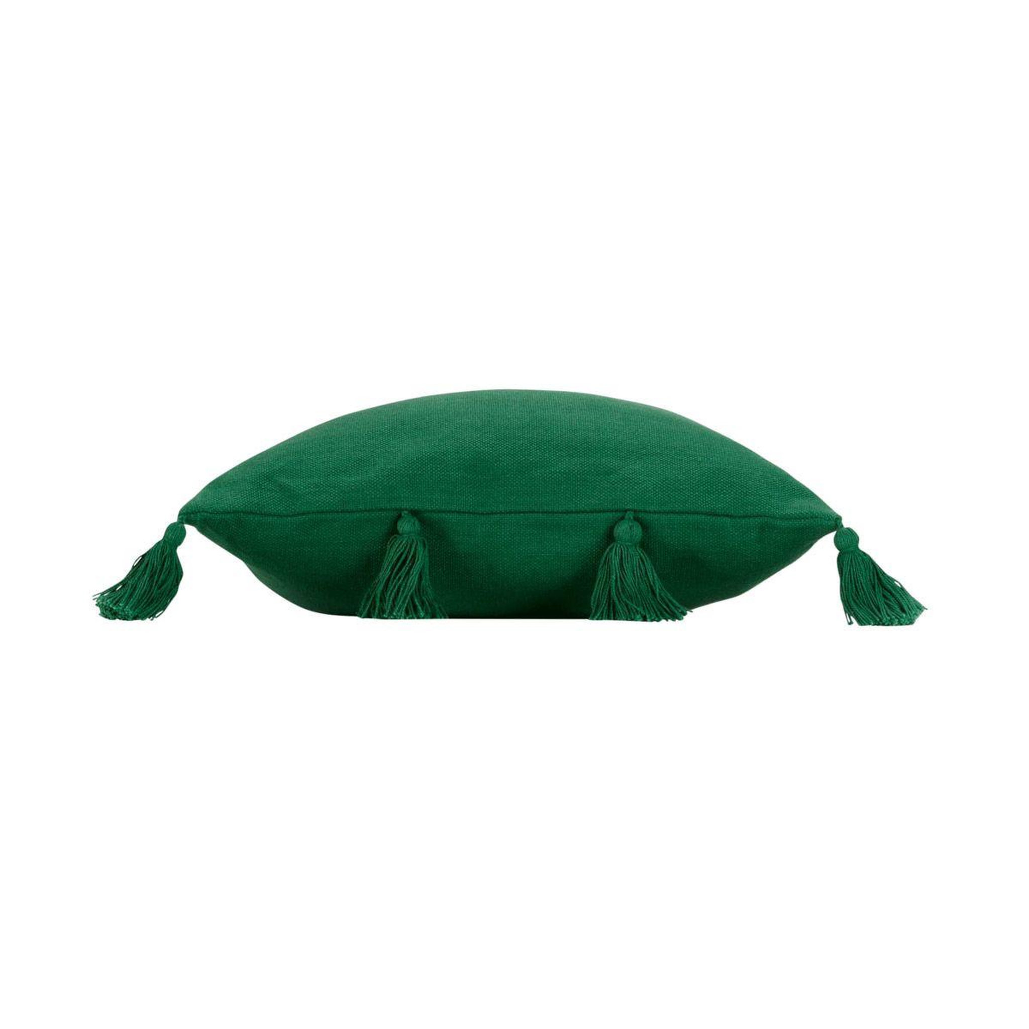 Voir la diapositive 2 : Douceur d'Intérieur Coussin déco à pompons  tasselina  45x45cm vert