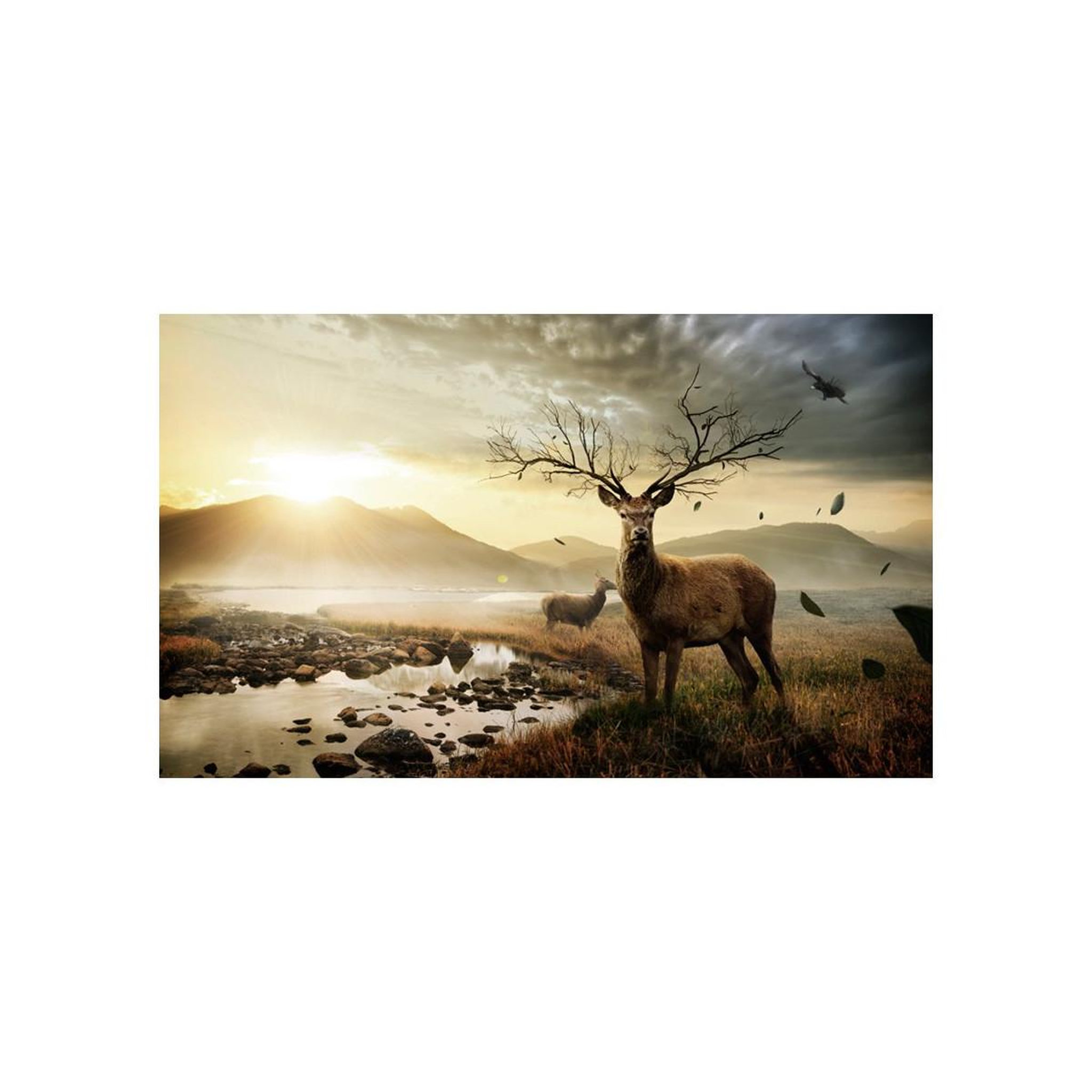 Voir la diapositive 2 : Paris Prix Papier peint  cerf & ruisseau de montagne ii  270x450cm