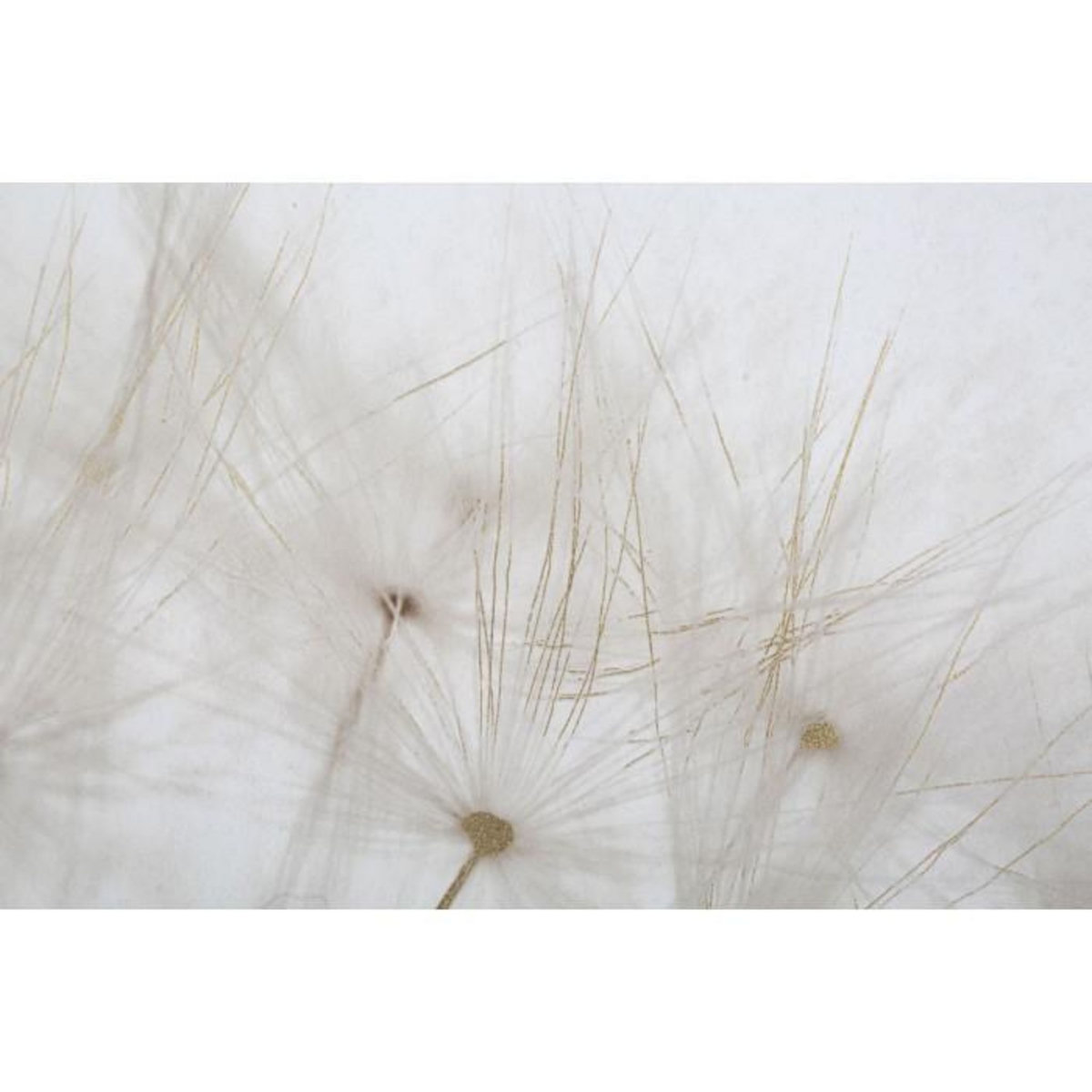 Paris Prix Toile Imprimée Déco  Tin  80x120cm Multicolore